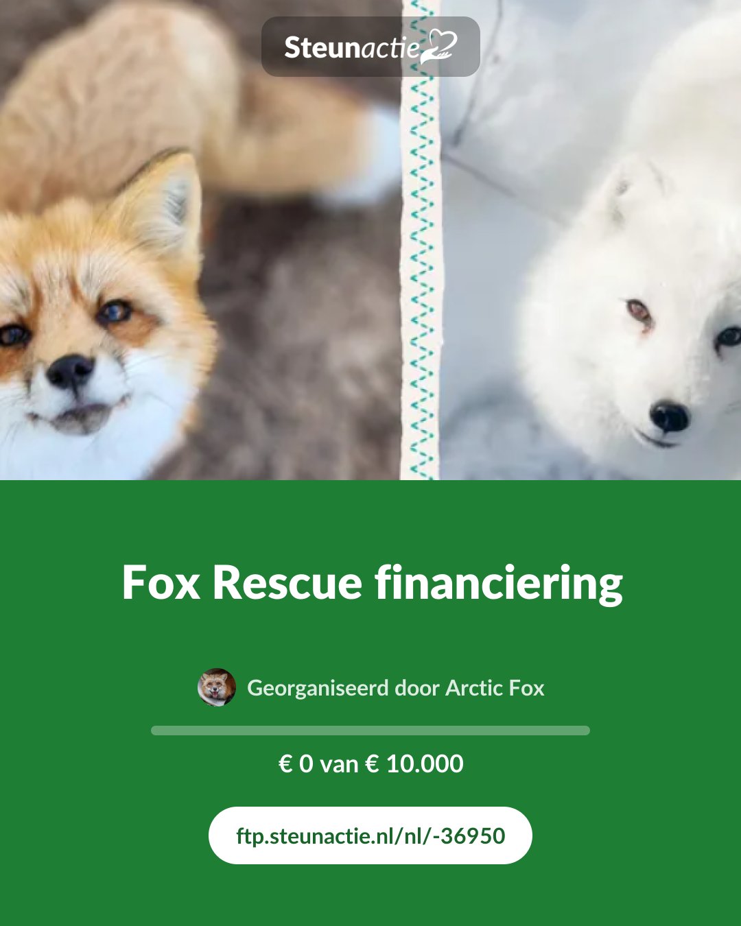 Voorbeeld van de afbeelding