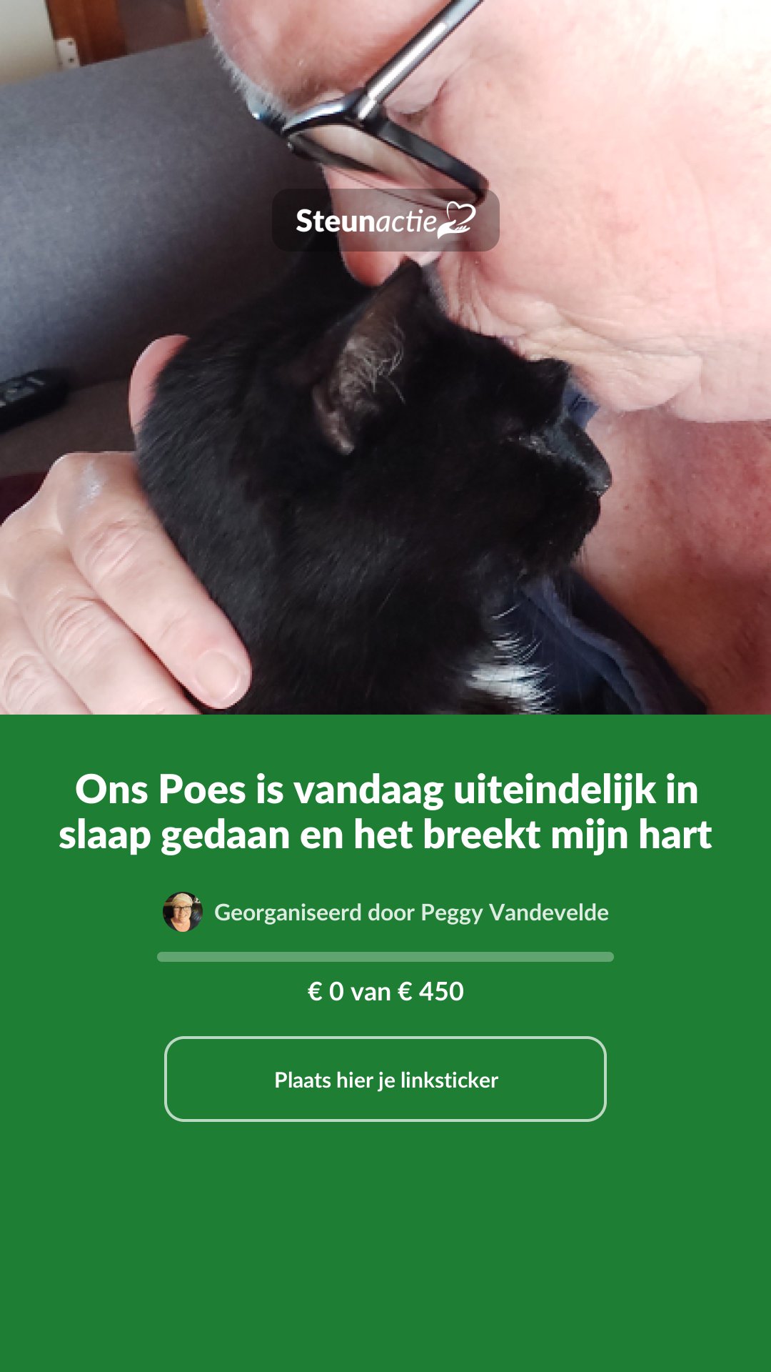 Voorbeeld van de afbeelding