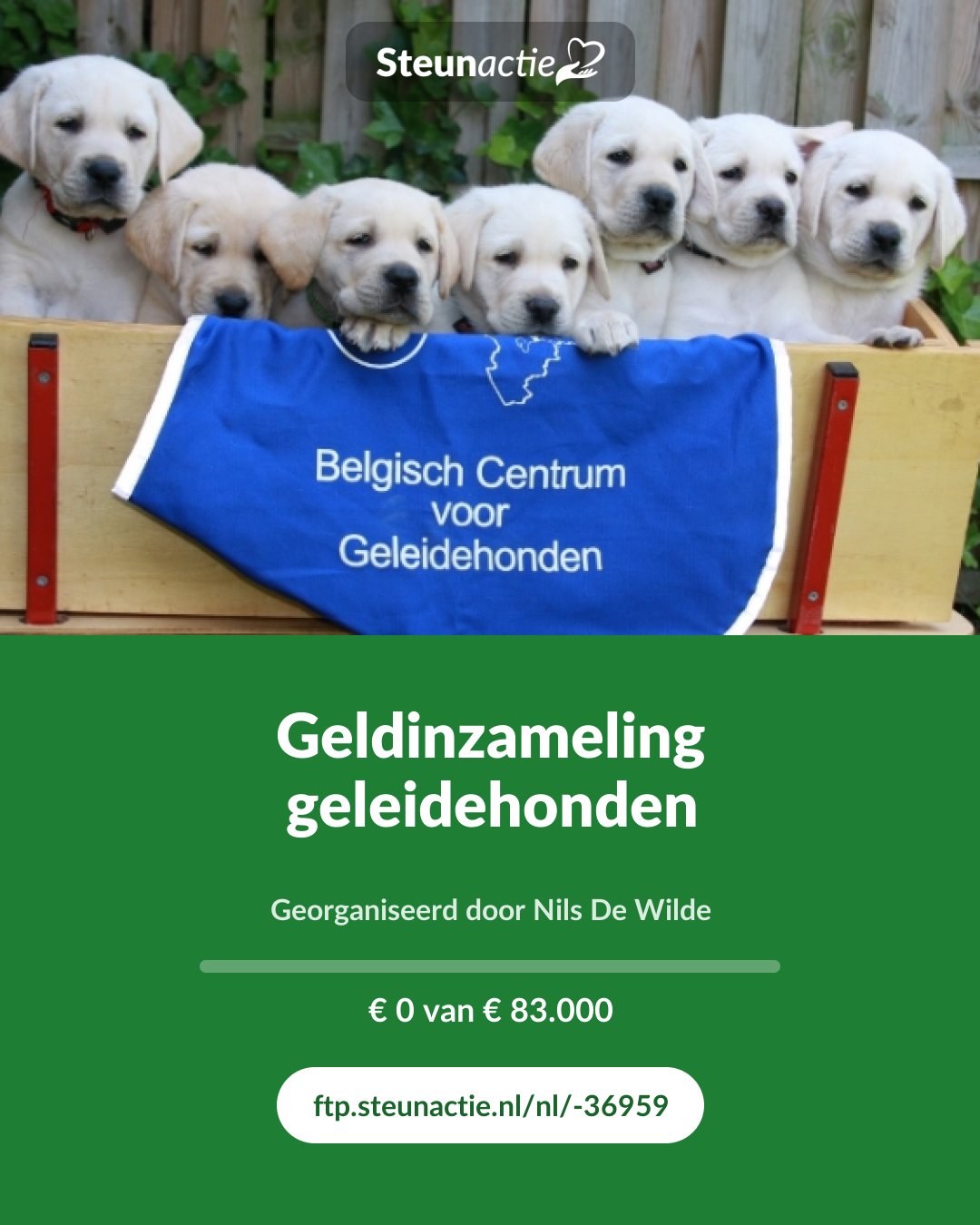 Voorbeeld van de afbeelding