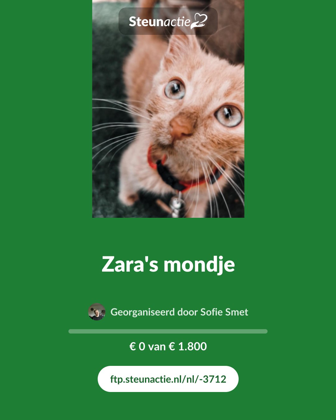 Voorbeeld van de afbeelding