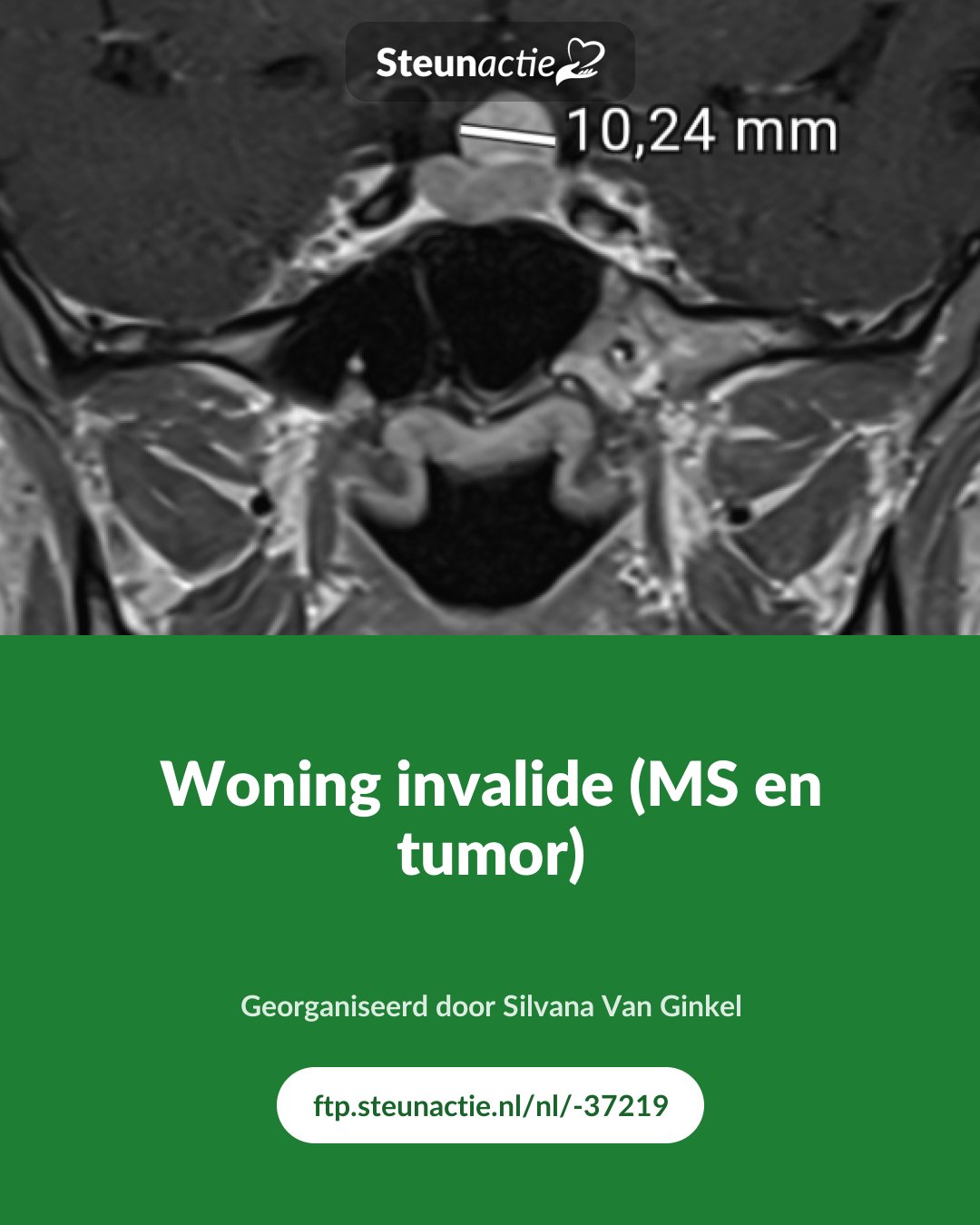 Voorbeeld van de afbeelding
