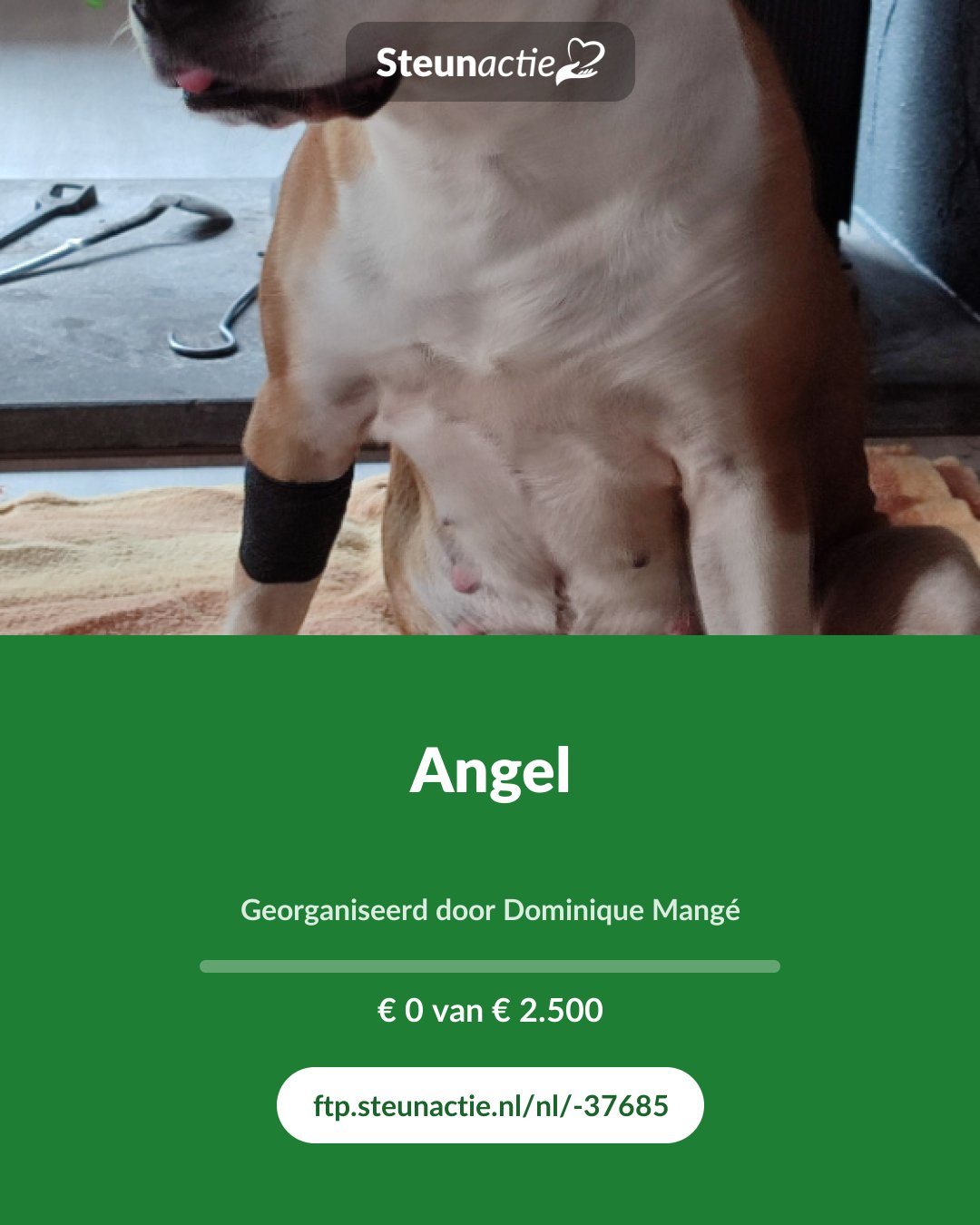 Voorbeeld van de afbeelding