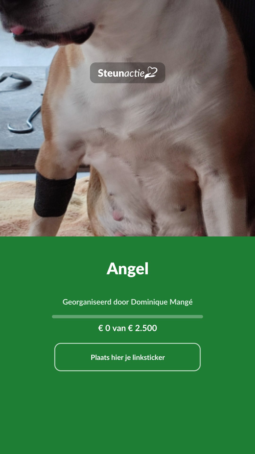 Voorbeeld van de afbeelding