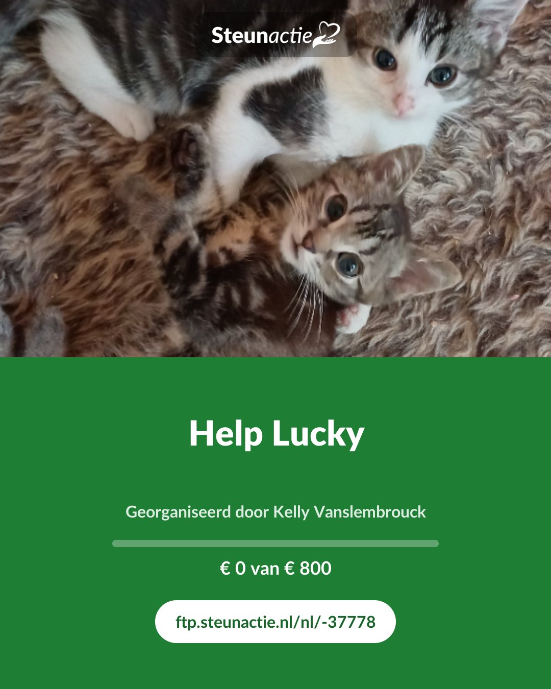 Voorbeeld van de afbeelding