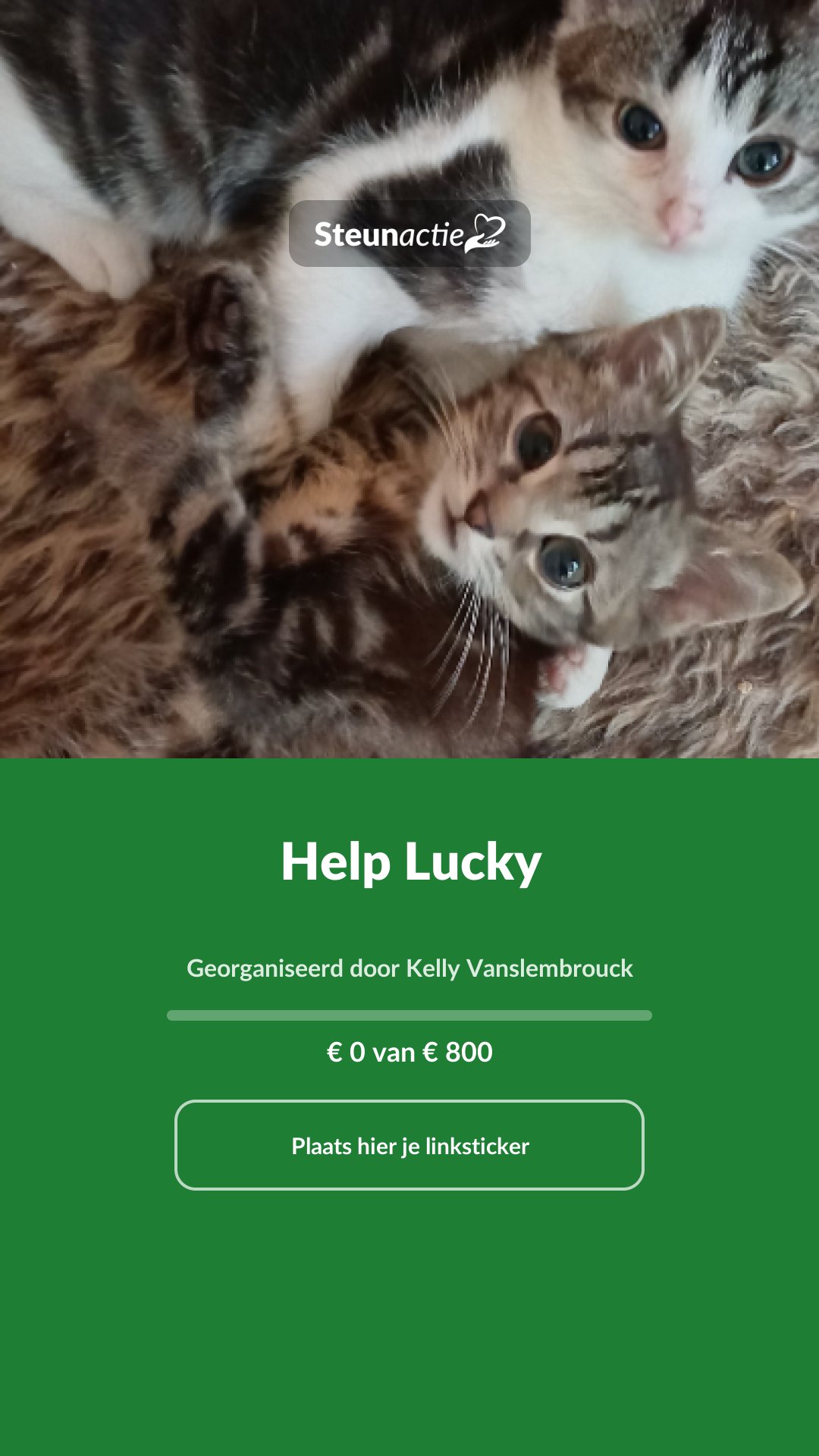 Voorbeeld van de afbeelding
