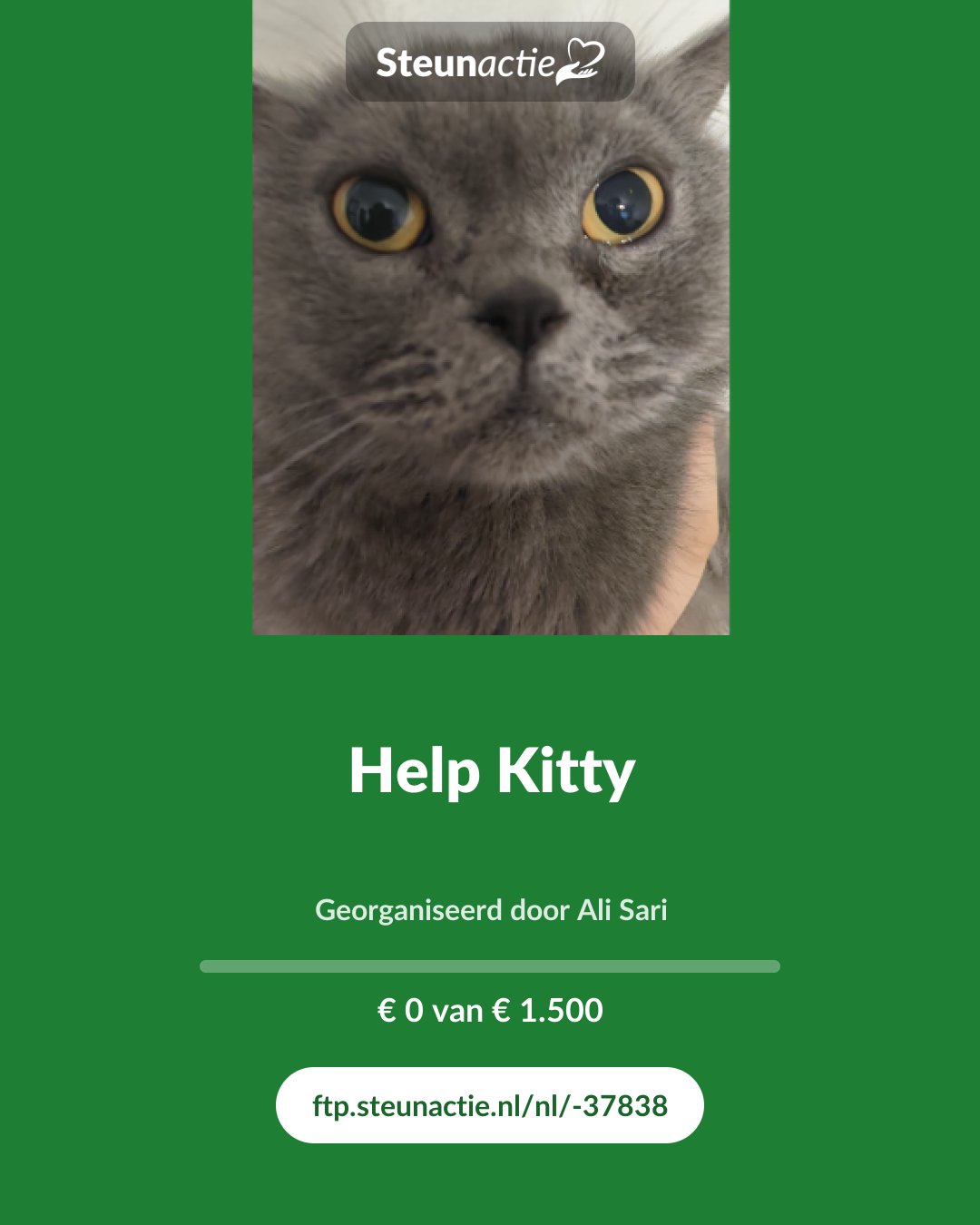 Voorbeeld van de afbeelding