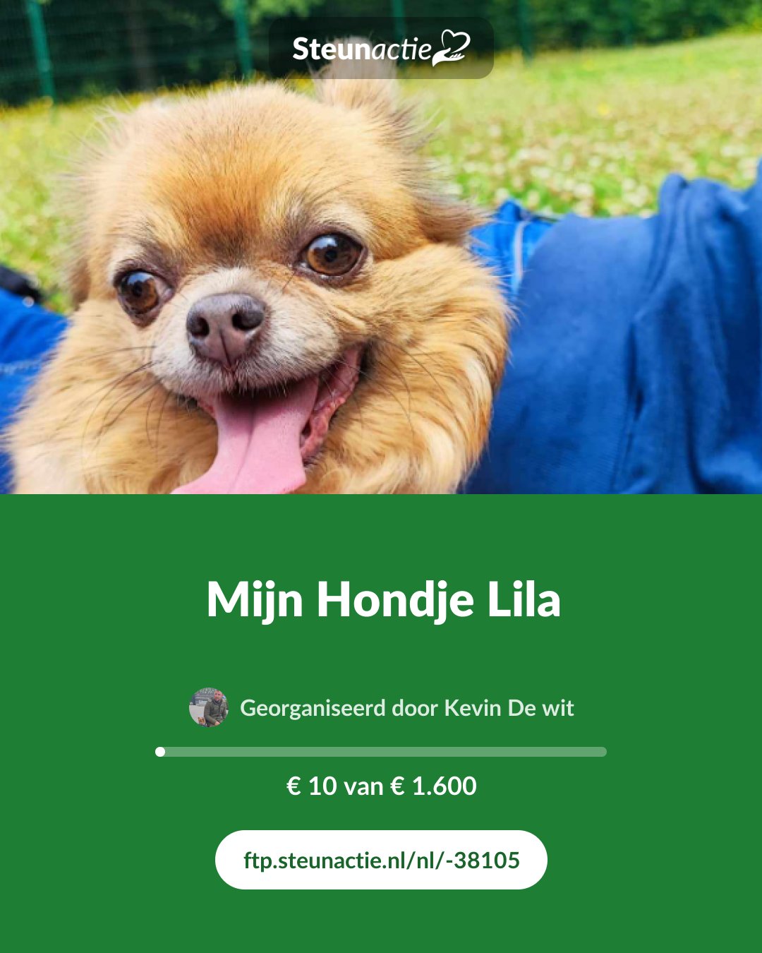 Voorbeeld van de afbeelding