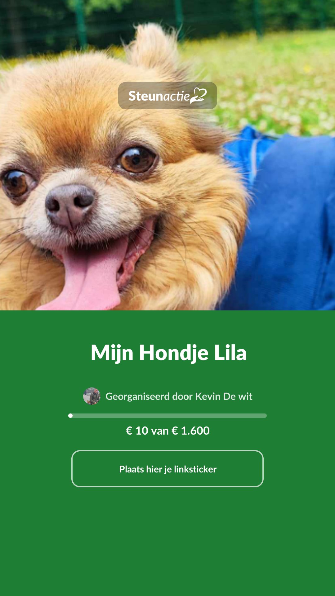 Voorbeeld van de afbeelding