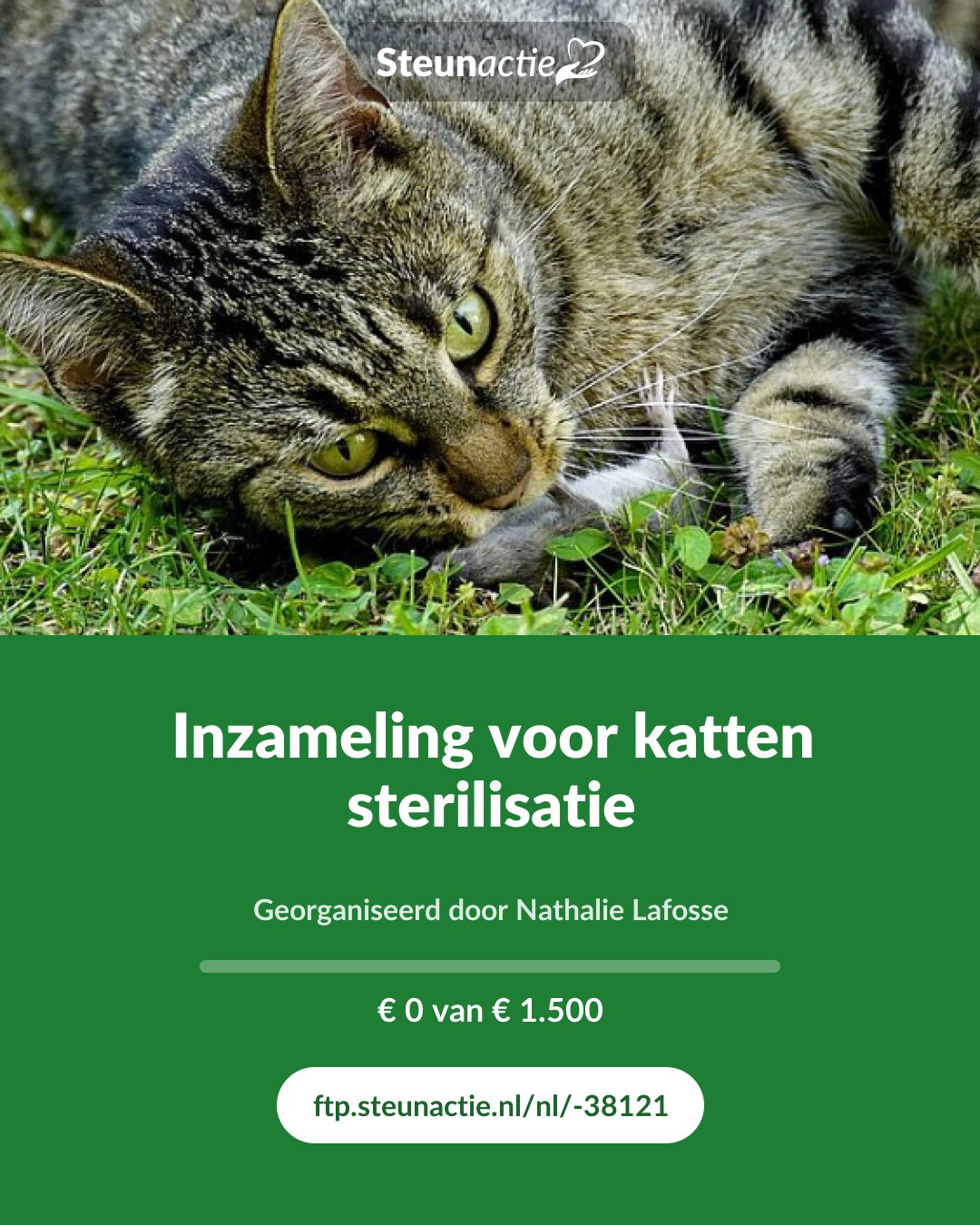 Voorbeeld van de afbeelding