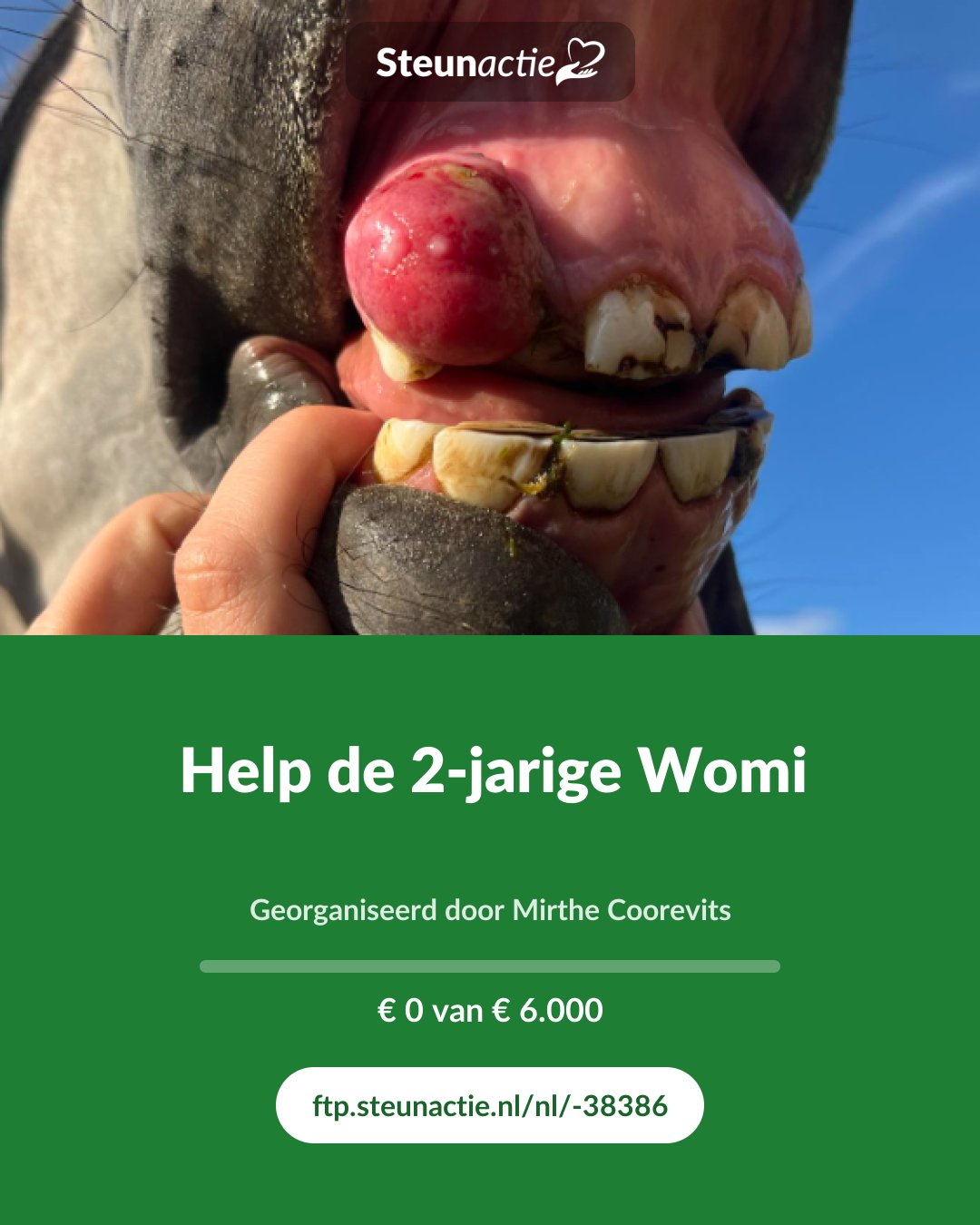 Voorbeeld van de afbeelding