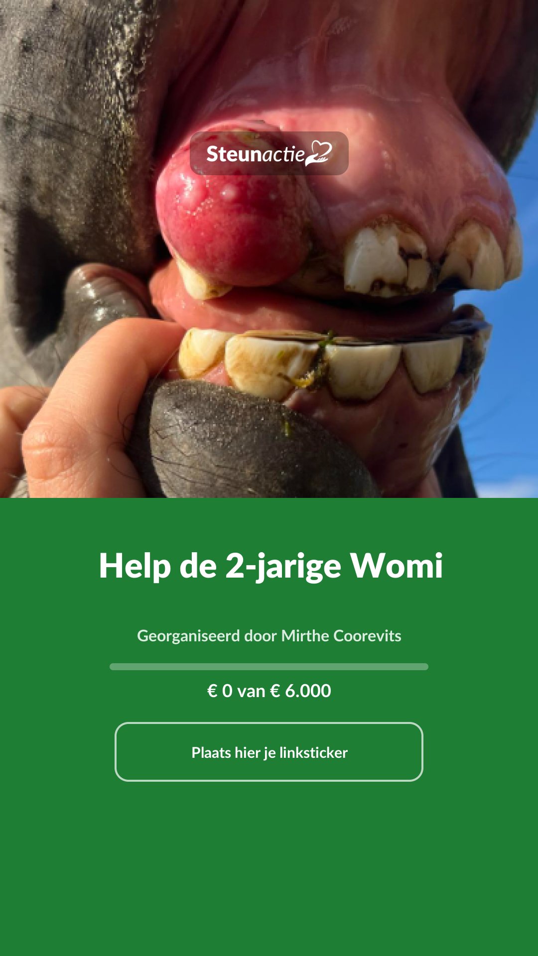 Voorbeeld van de afbeelding