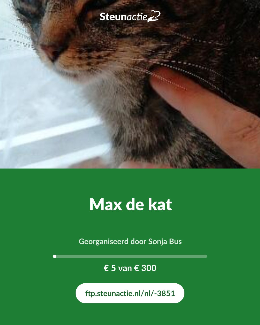 Voorbeeld van de afbeelding