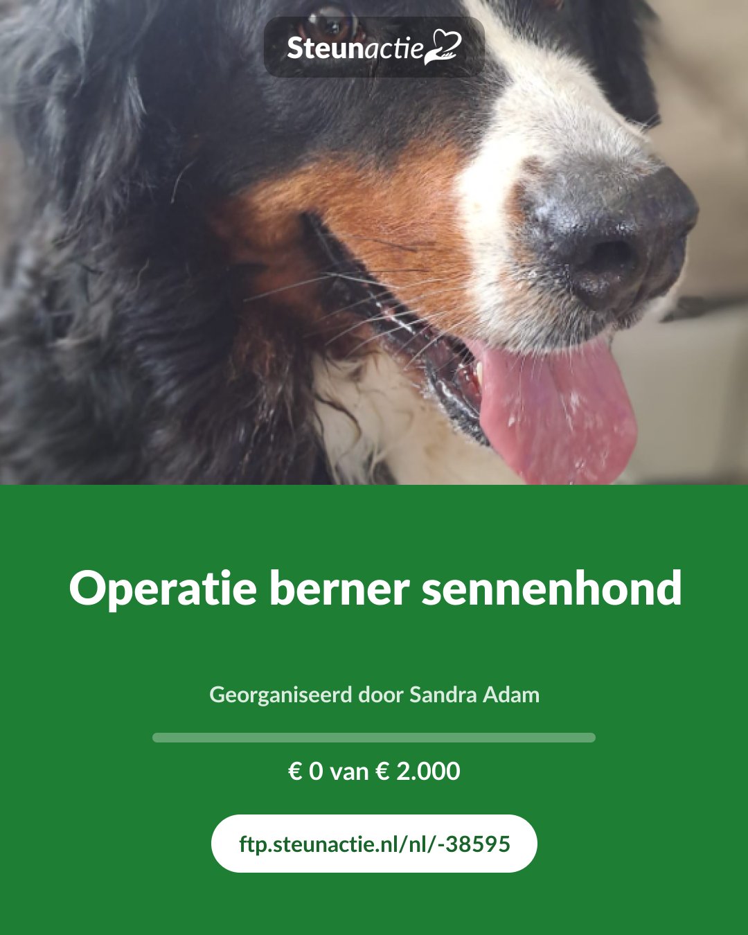 Voorbeeld van de afbeelding