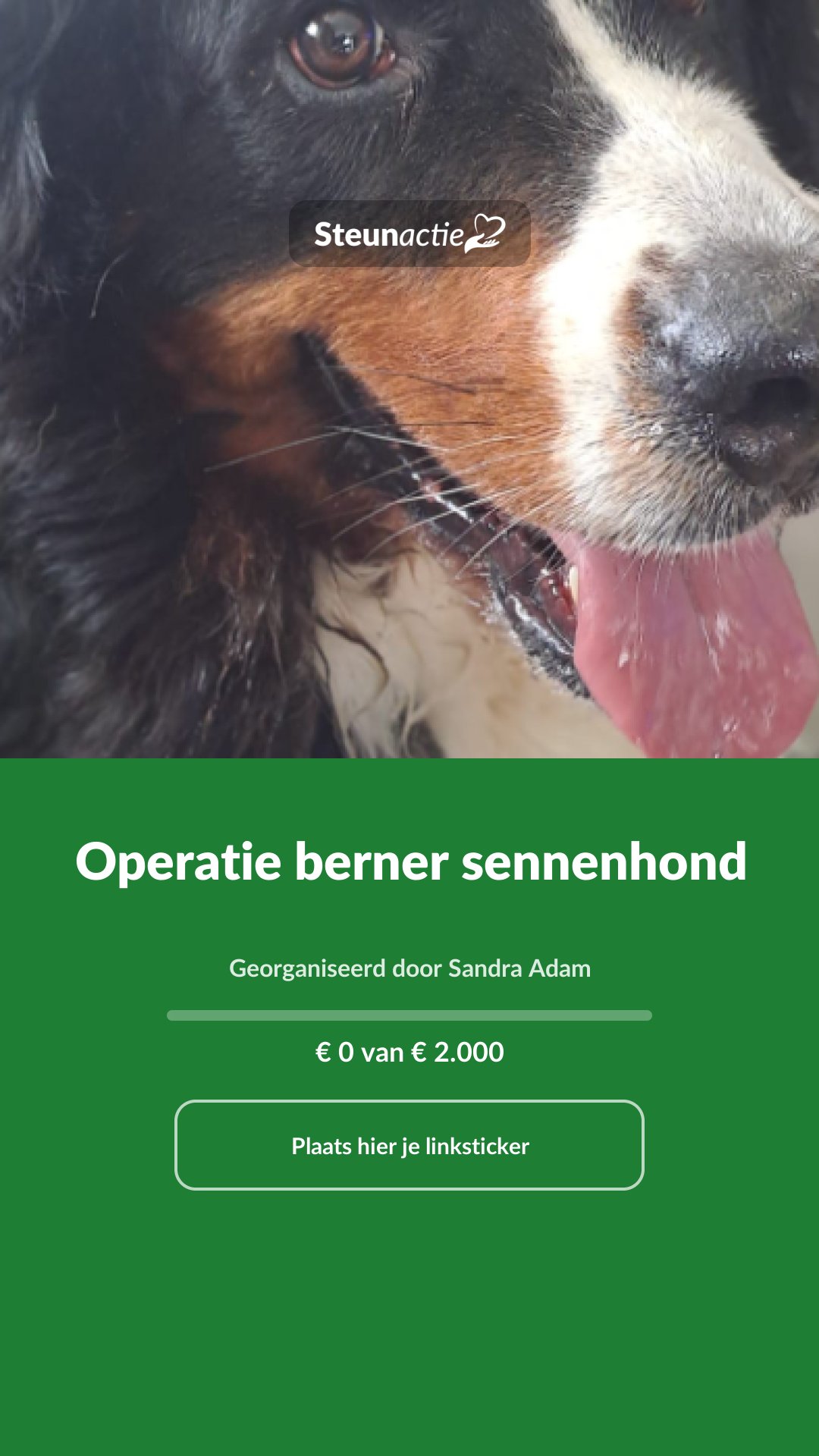 Voorbeeld van de afbeelding