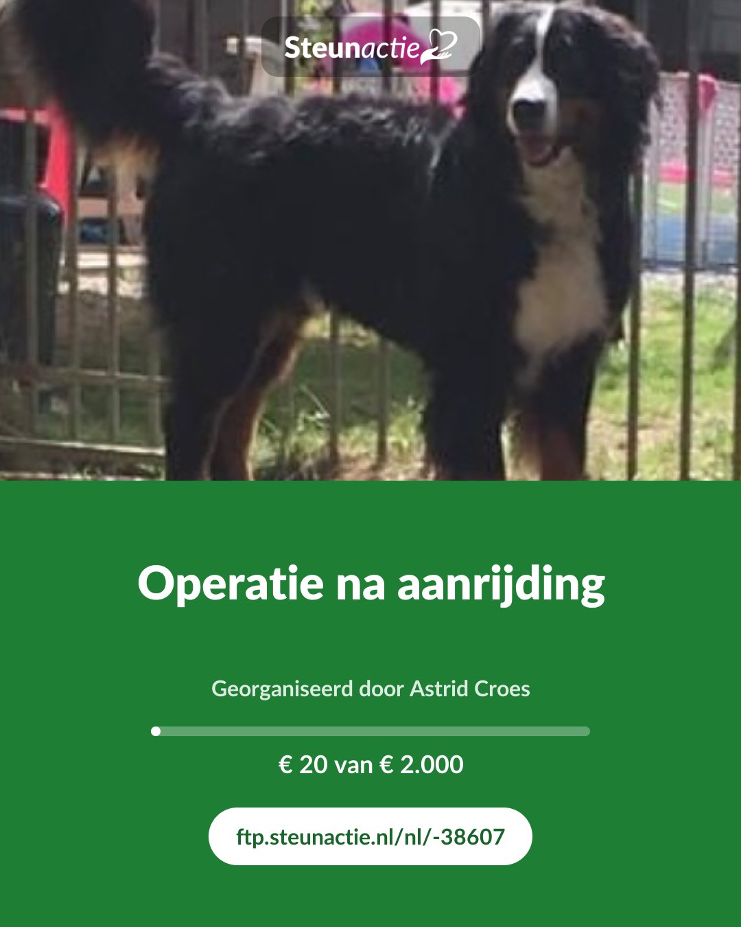 Voorbeeld van de afbeelding