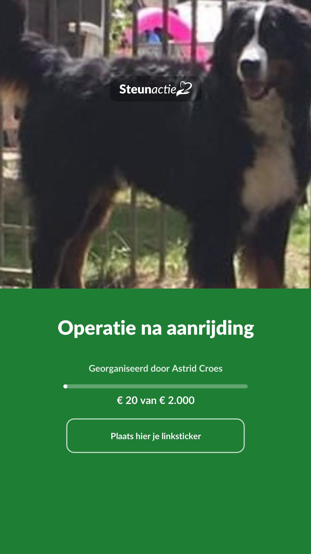 Voorbeeld van de afbeelding