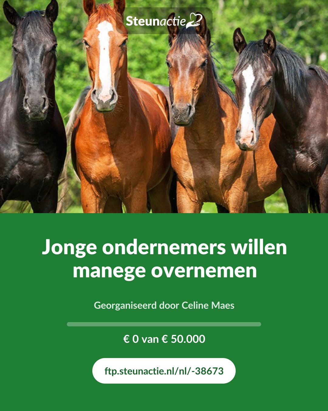 Voorbeeld van de afbeelding