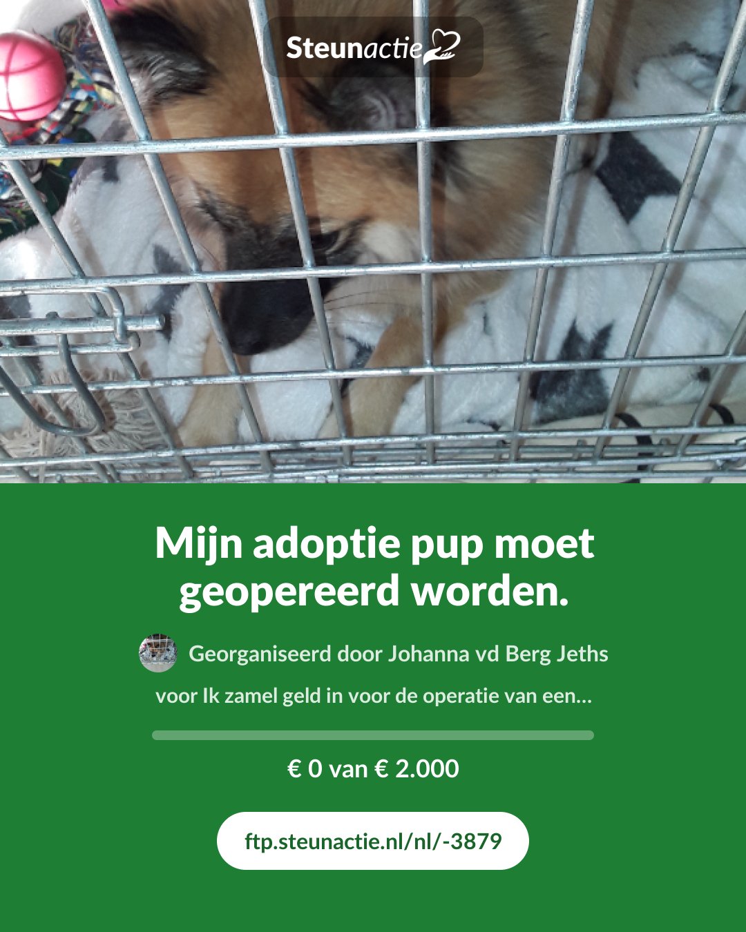 Voorbeeld van de afbeelding