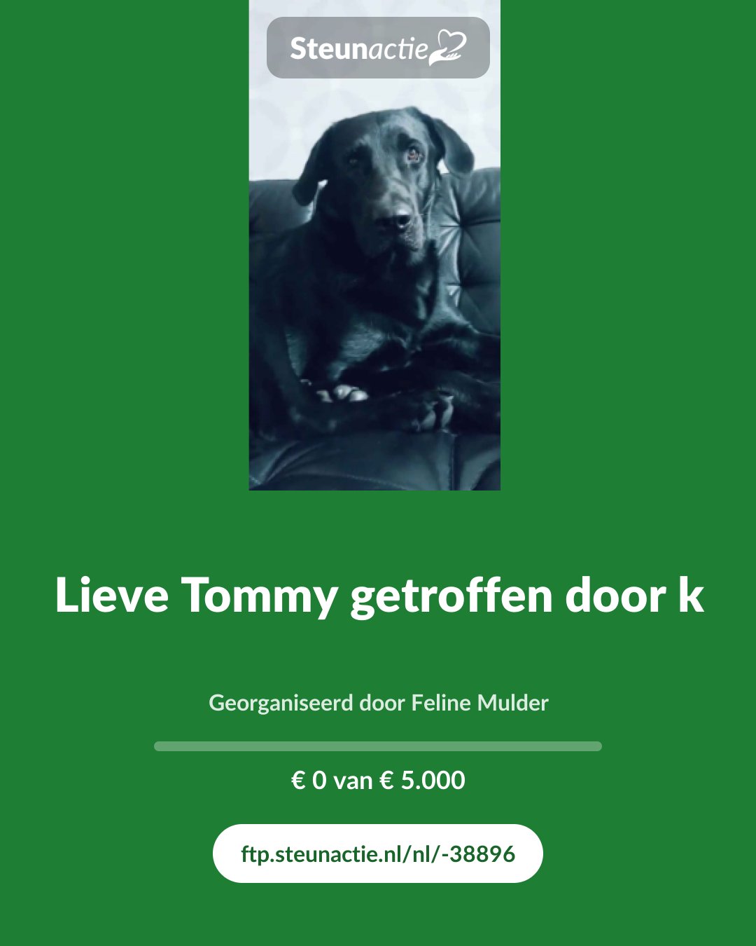 Voorbeeld van de afbeelding