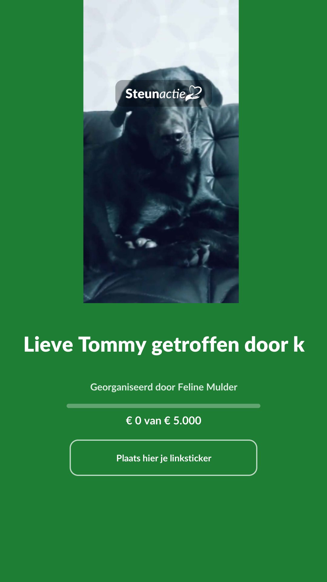 Voorbeeld van de afbeelding