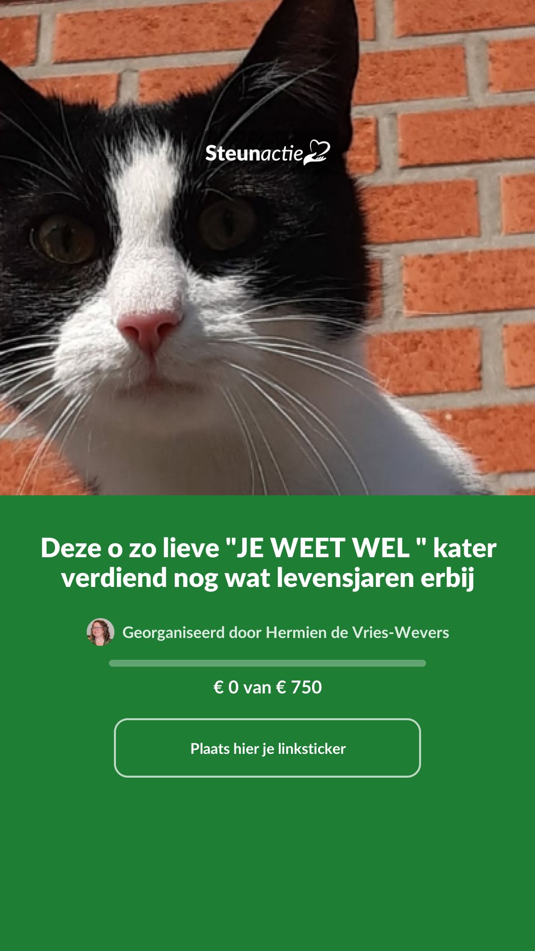 Voorbeeld van de afbeelding