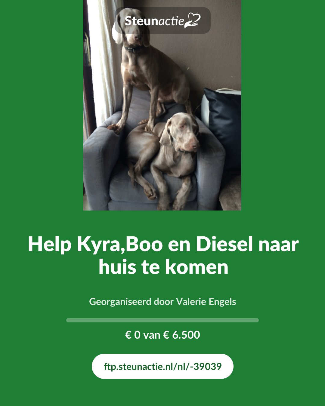 Voorbeeld van de afbeelding