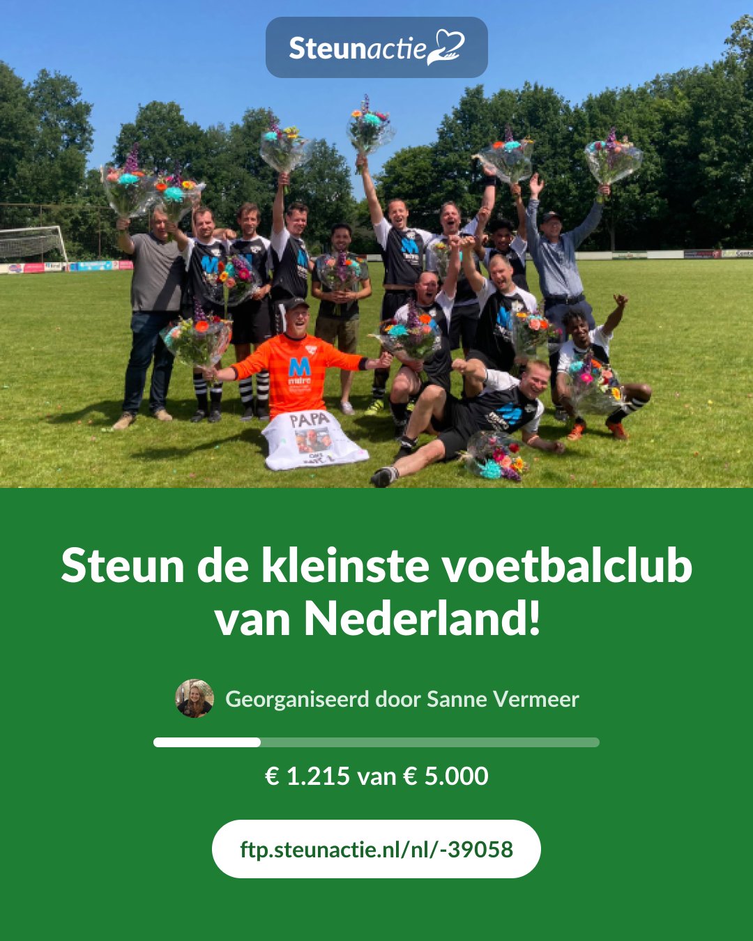 Voorbeeld van de afbeelding