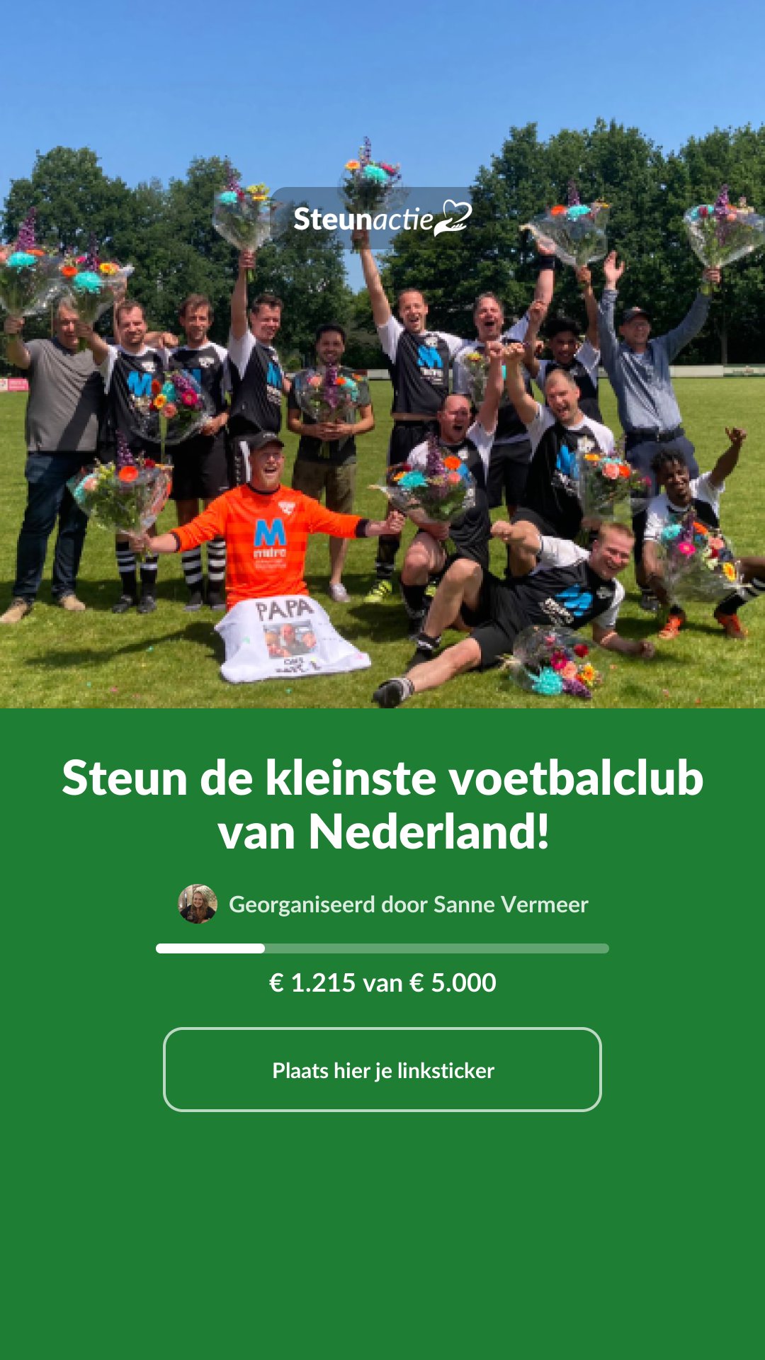 Voorbeeld van de afbeelding