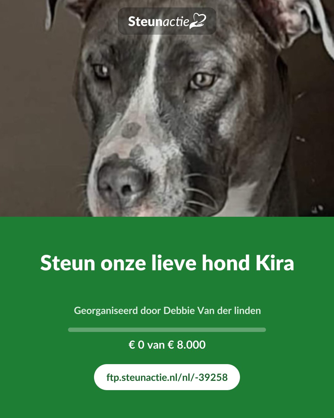 Voorbeeld van de afbeelding