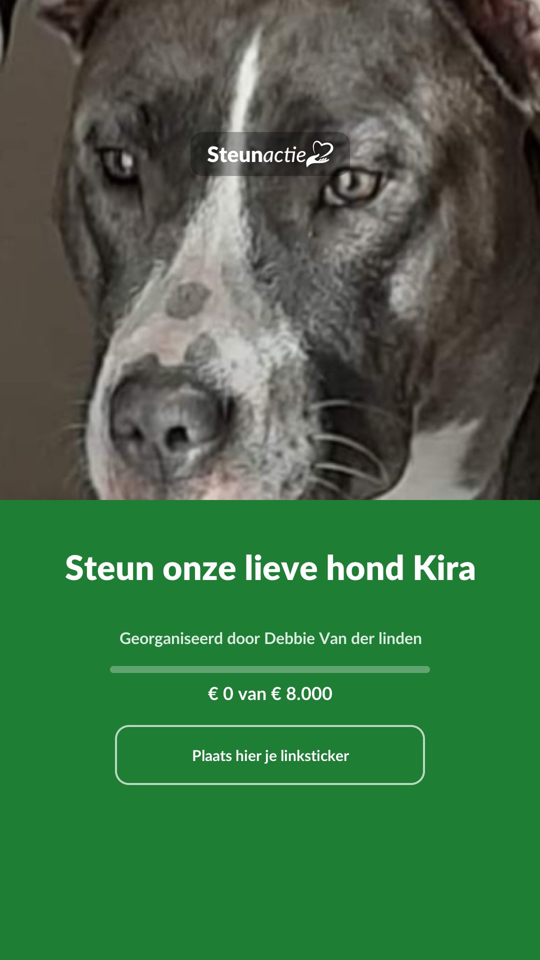 Voorbeeld van de afbeelding