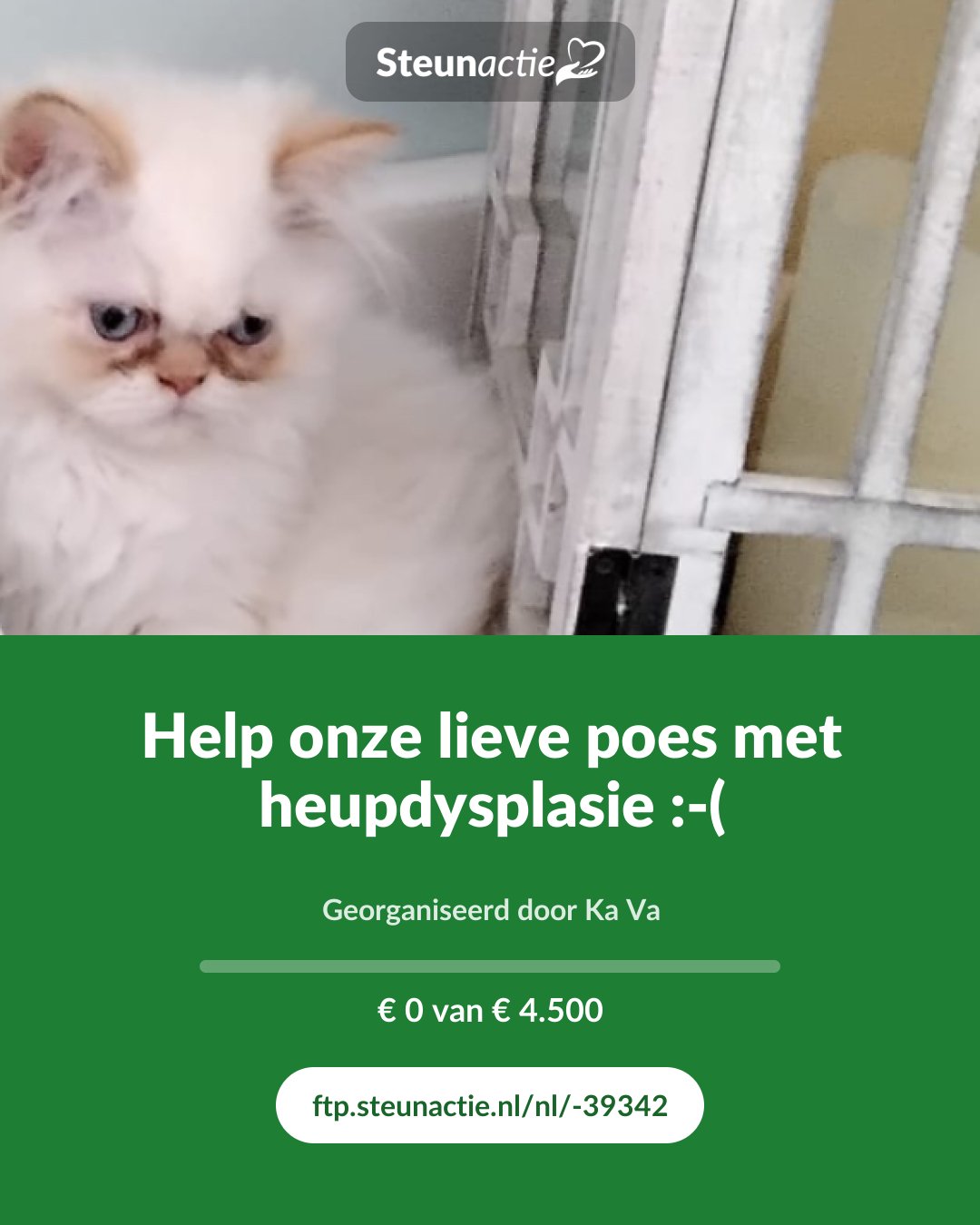 Voorbeeld van de afbeelding