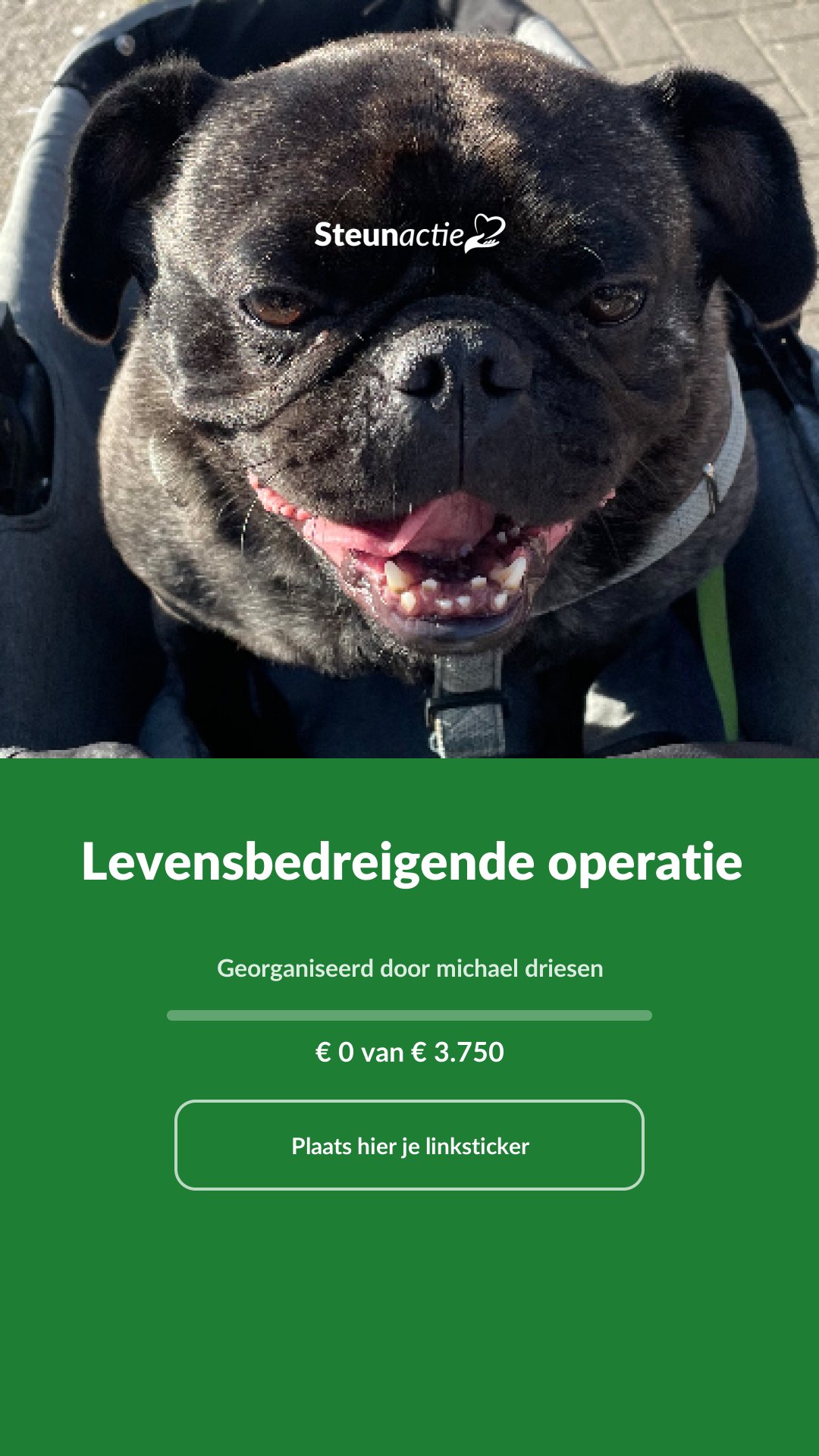 Voorbeeld van de afbeelding