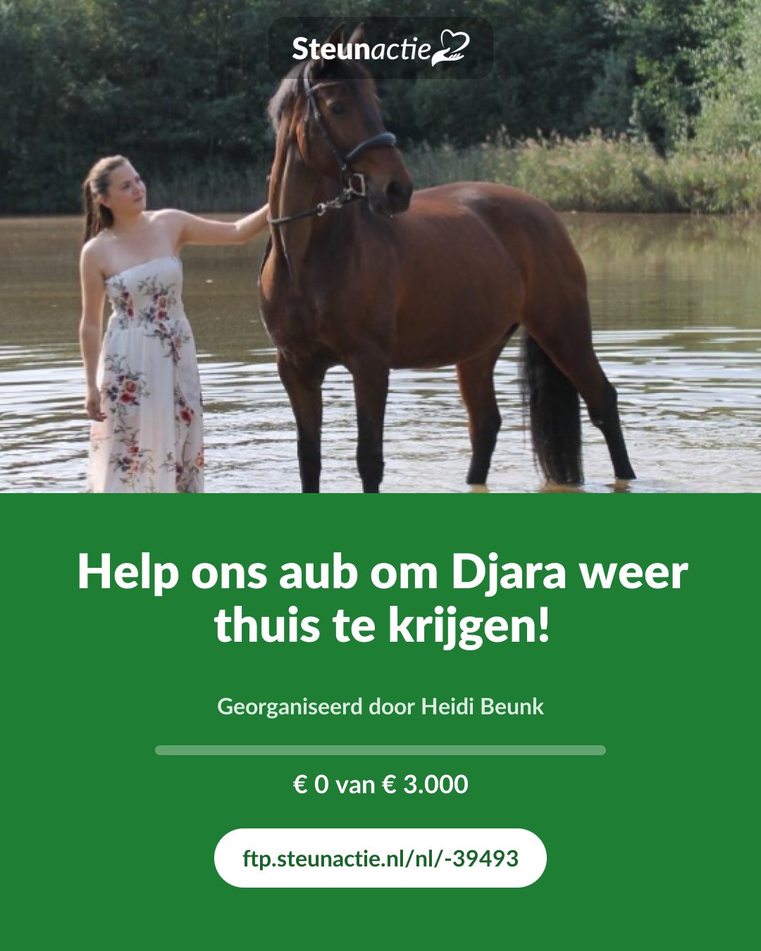 Voorbeeld van de afbeelding