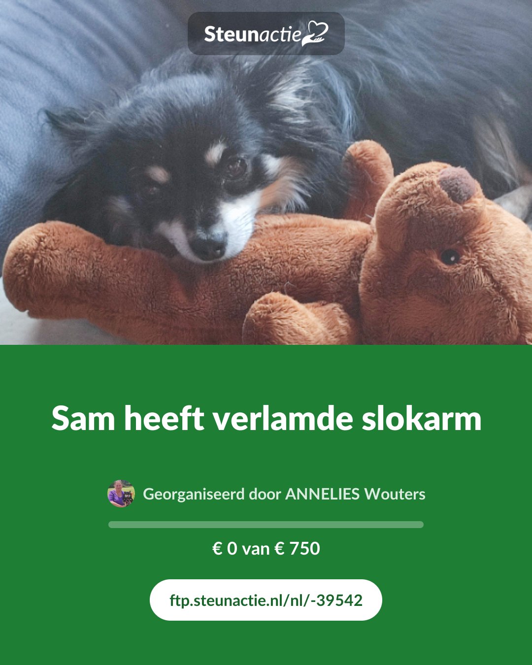 Voorbeeld van de afbeelding