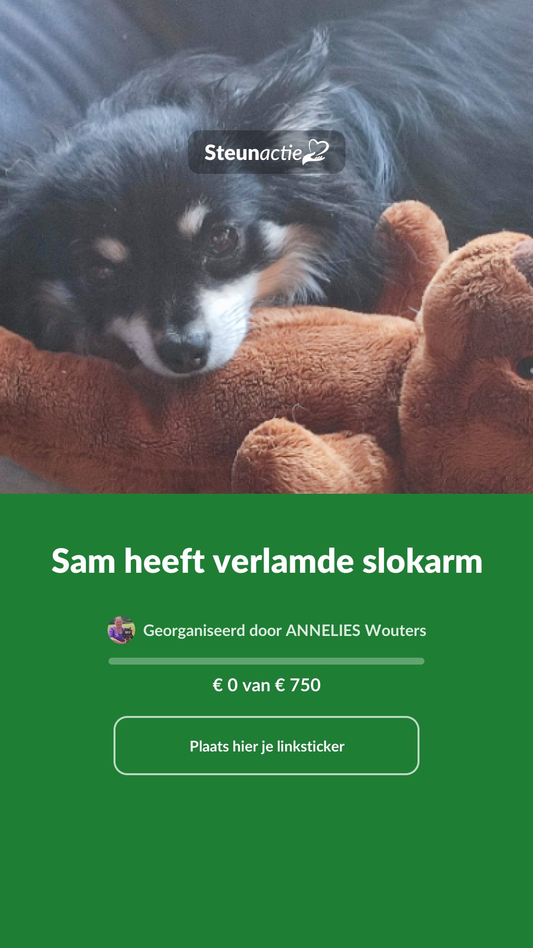 Voorbeeld van de afbeelding
