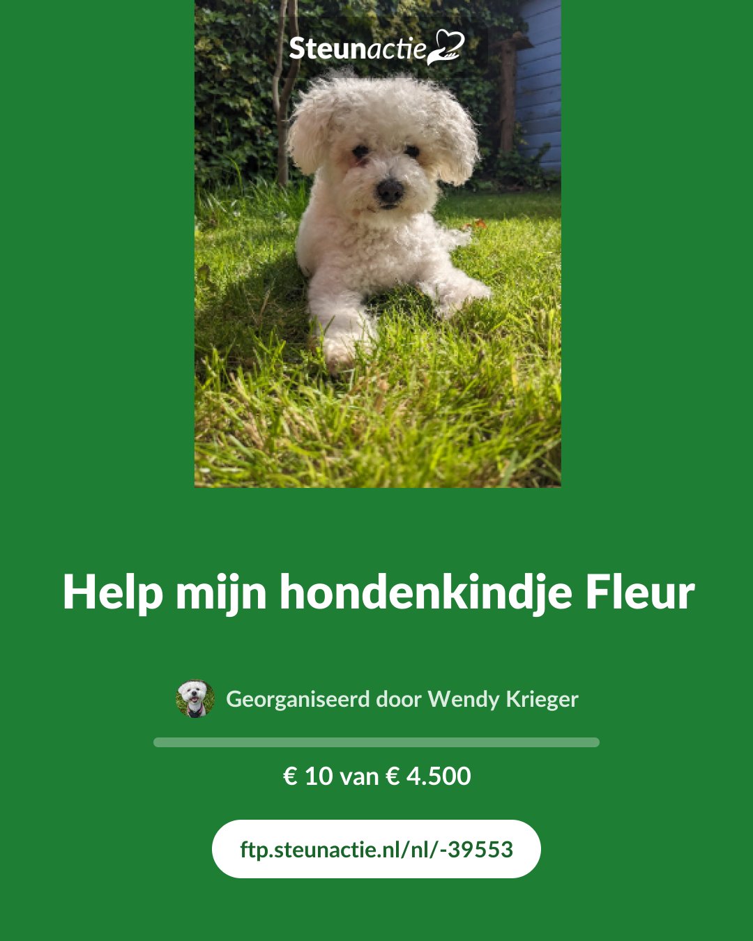 Voorbeeld van de afbeelding