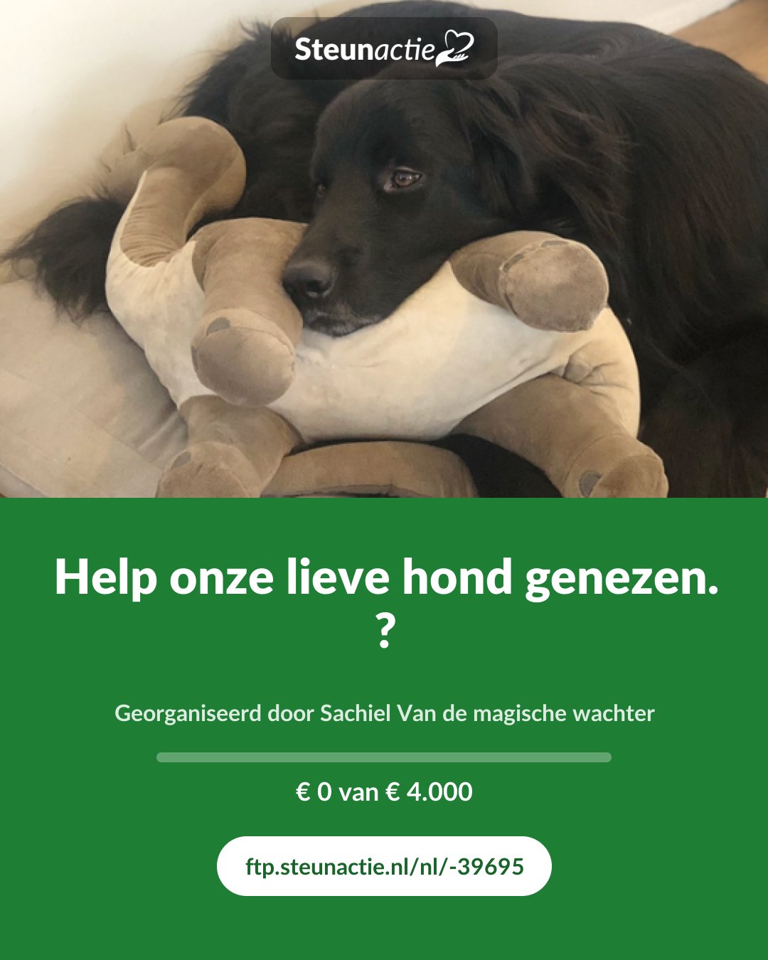 Voorbeeld van de afbeelding