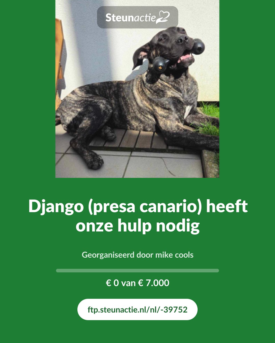 Voorbeeld van de afbeelding