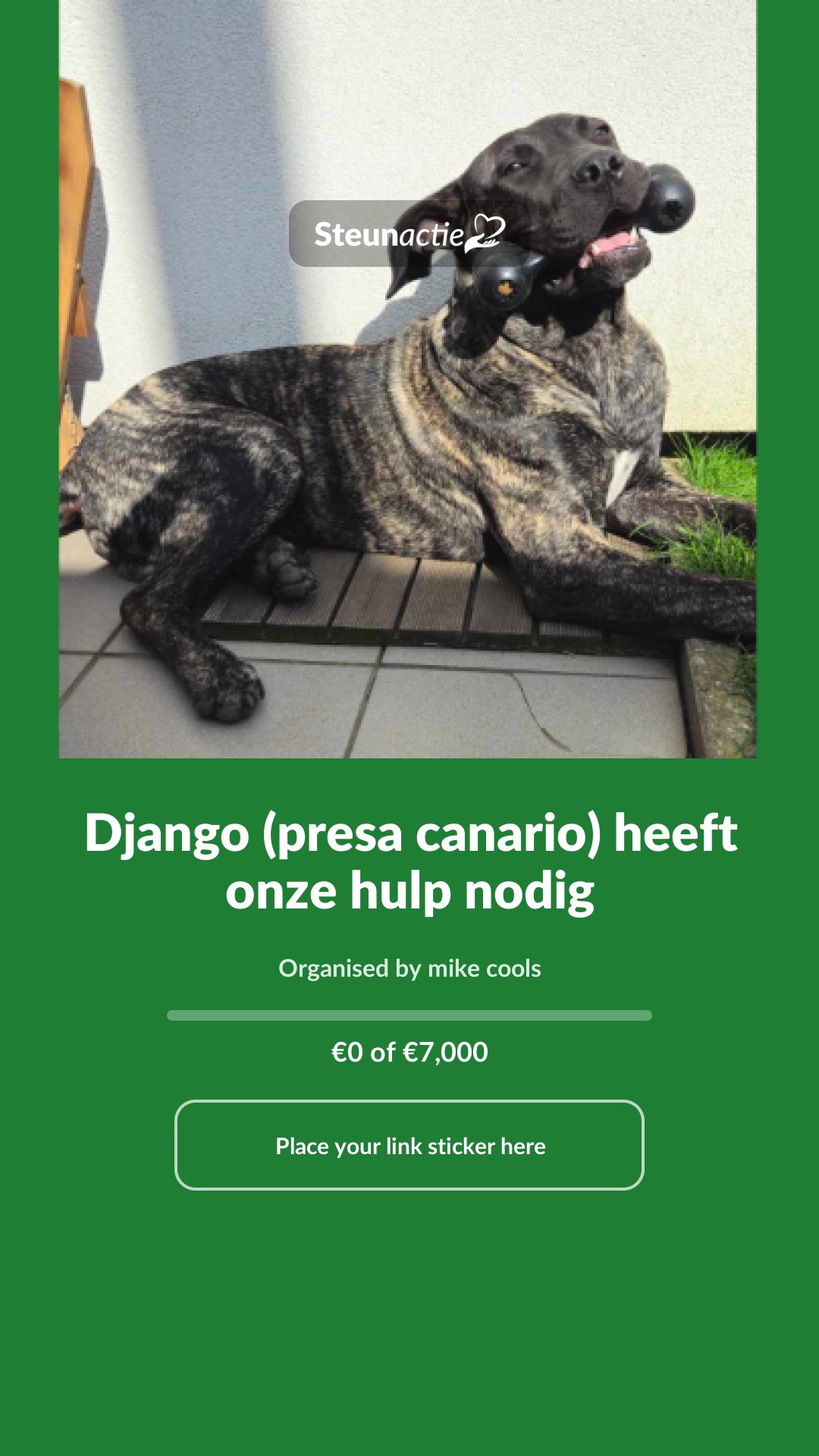 Preview of the image