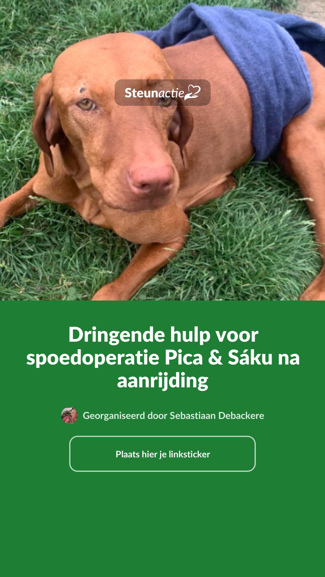Voorbeeld van de afbeelding