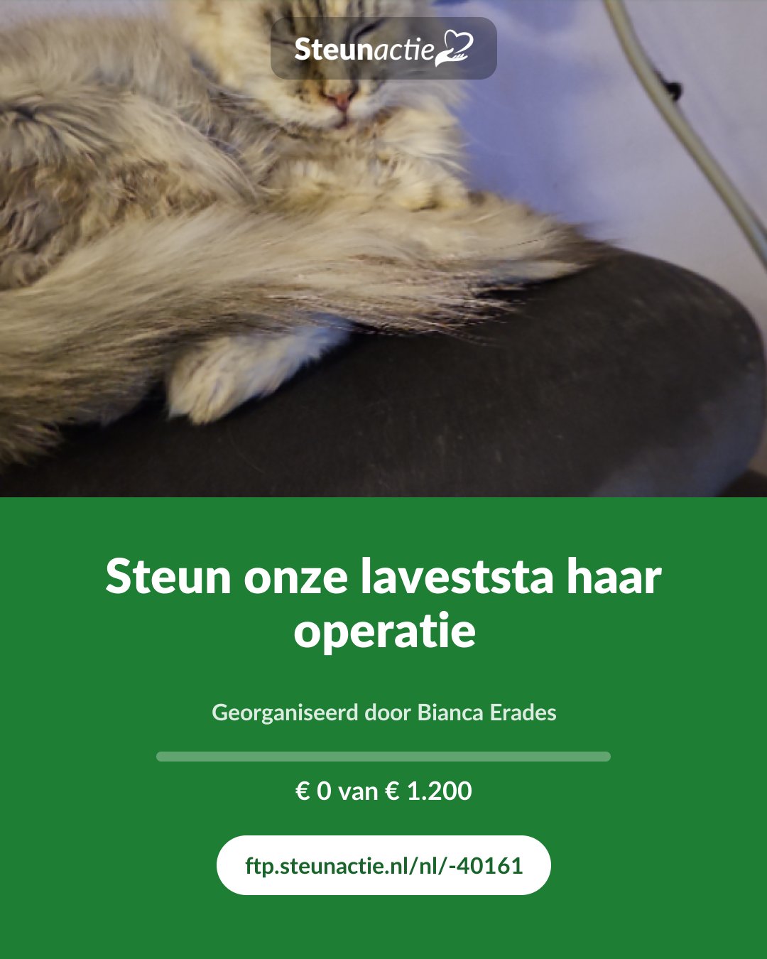 Voorbeeld van de afbeelding