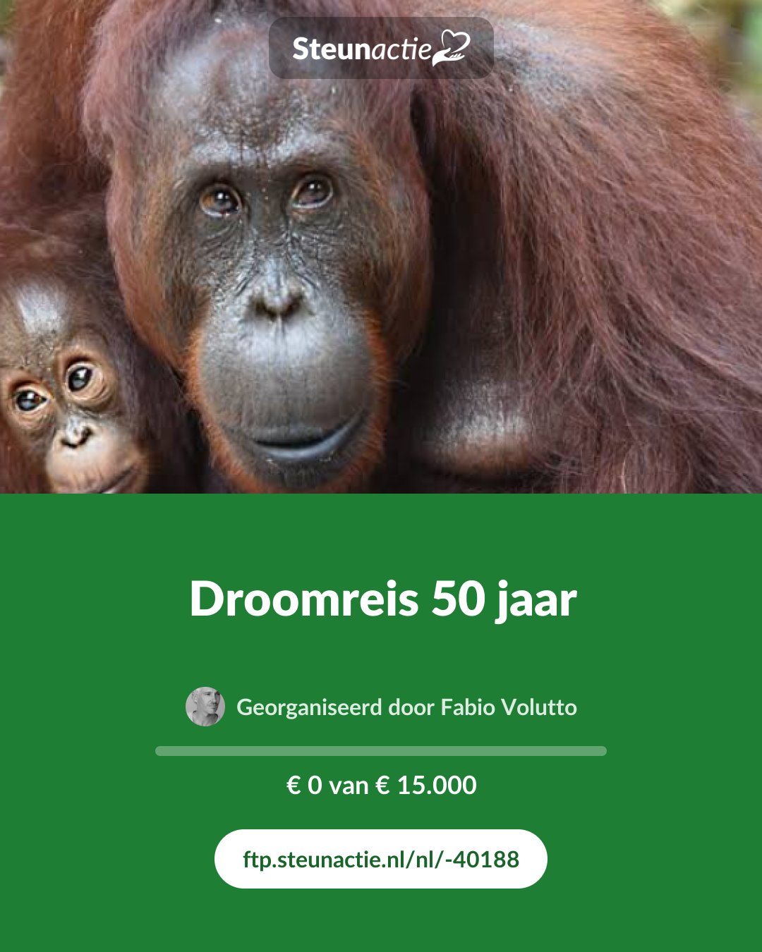 Voorbeeld van de afbeelding