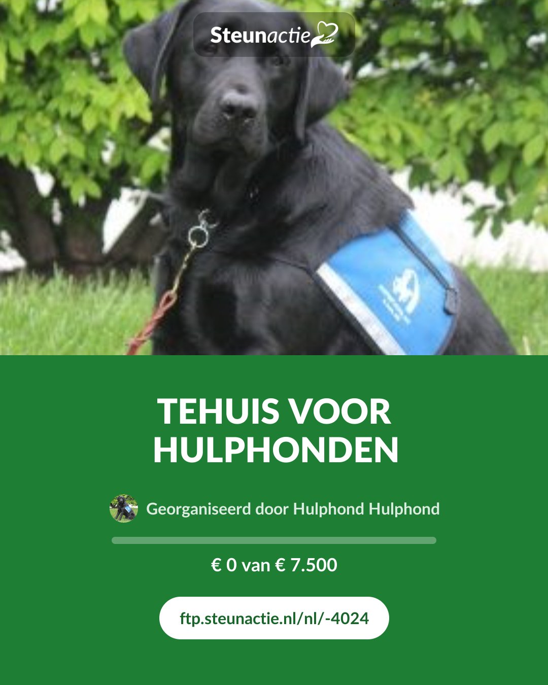 Voorbeeld van de afbeelding