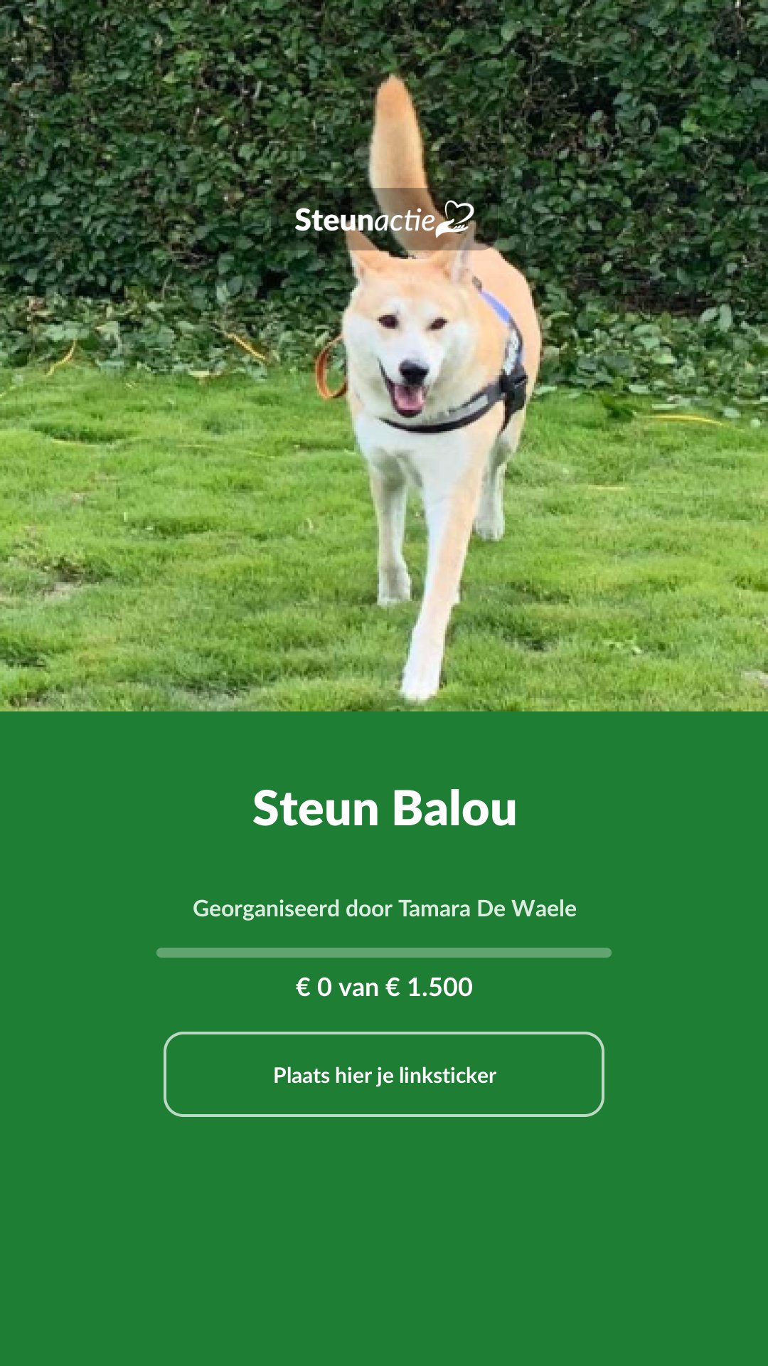 Voorbeeld van de afbeelding