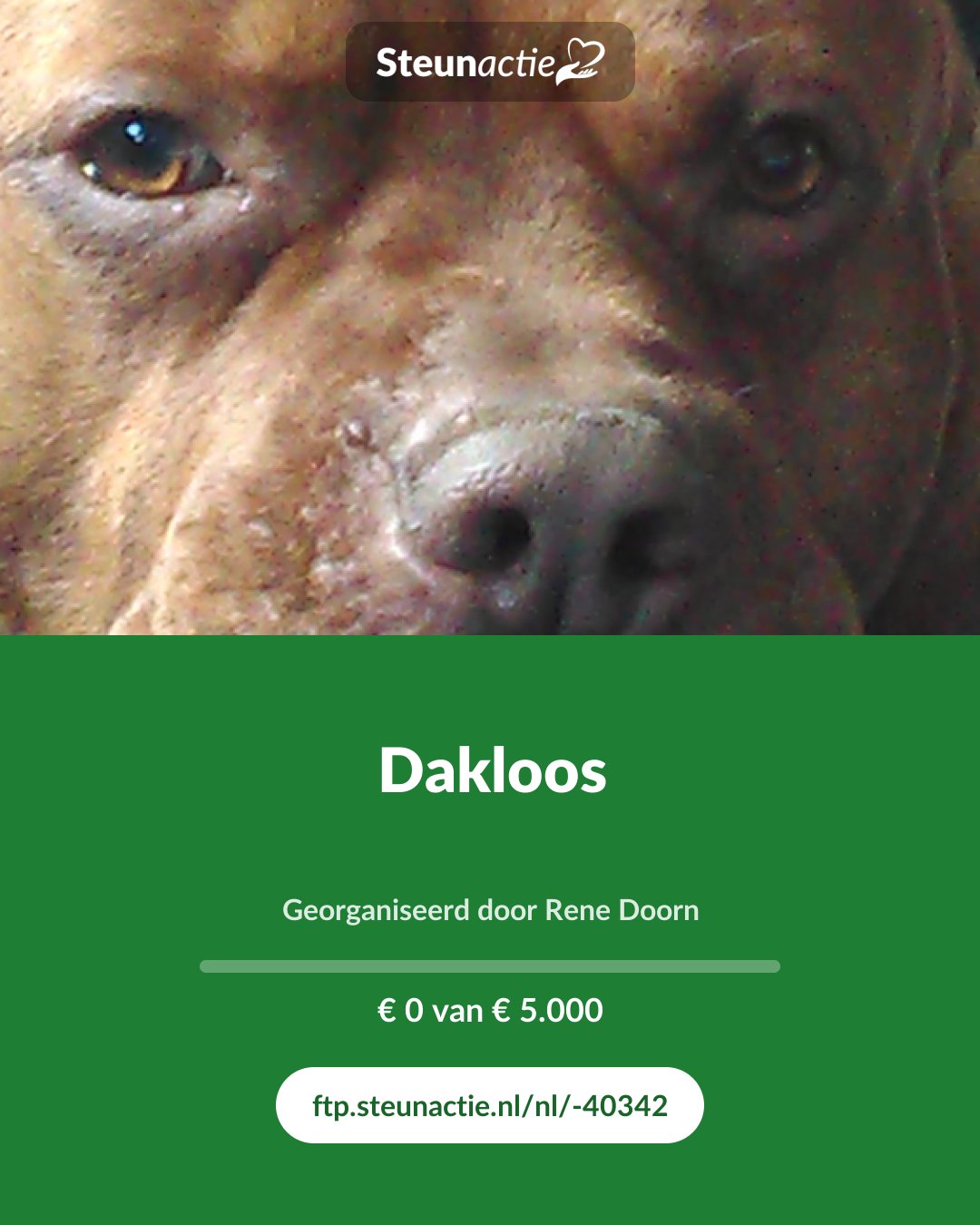 Voorbeeld van de afbeelding