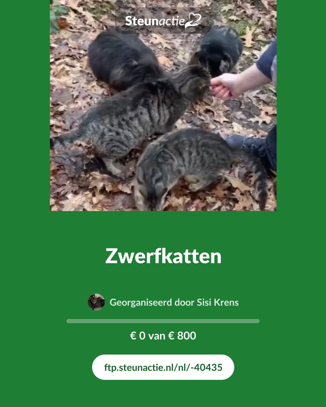 Voorbeeld van de afbeelding