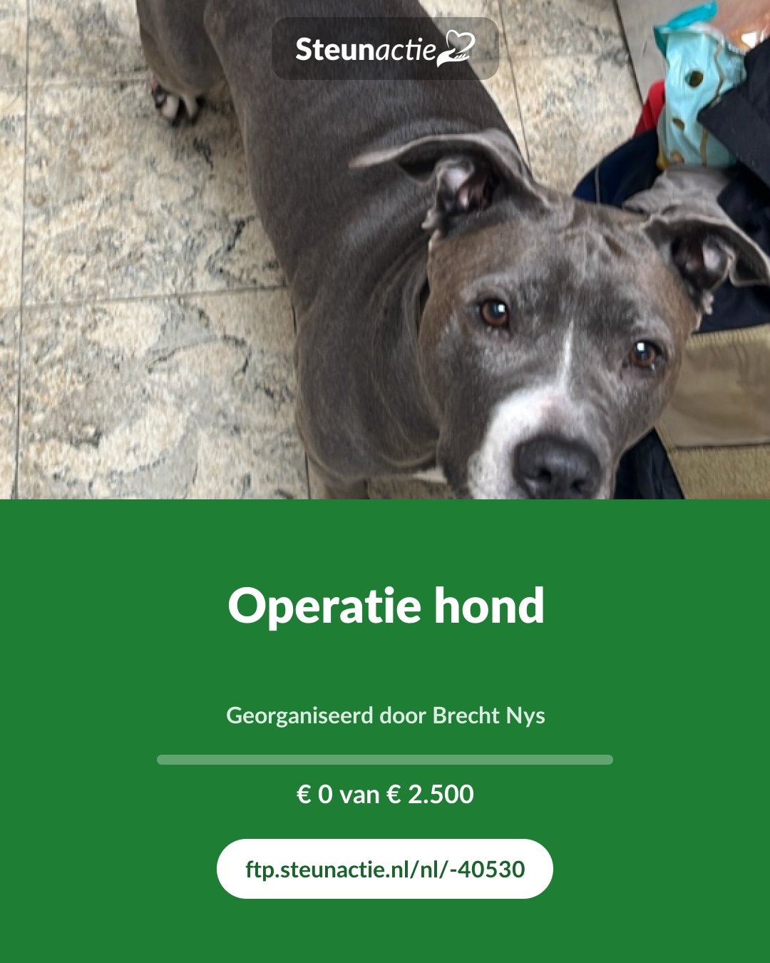 Voorbeeld van de afbeelding