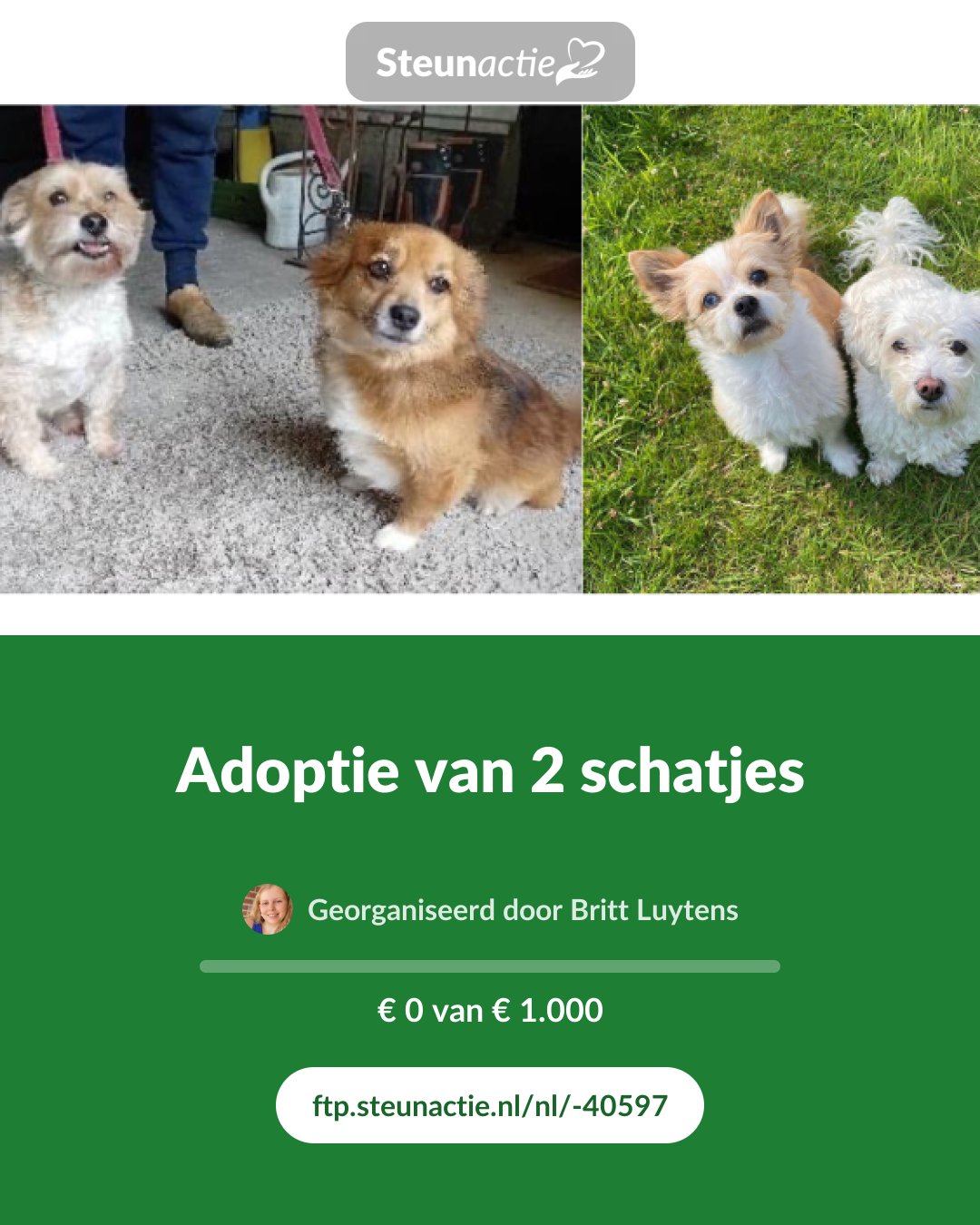 Voorbeeld van de afbeelding