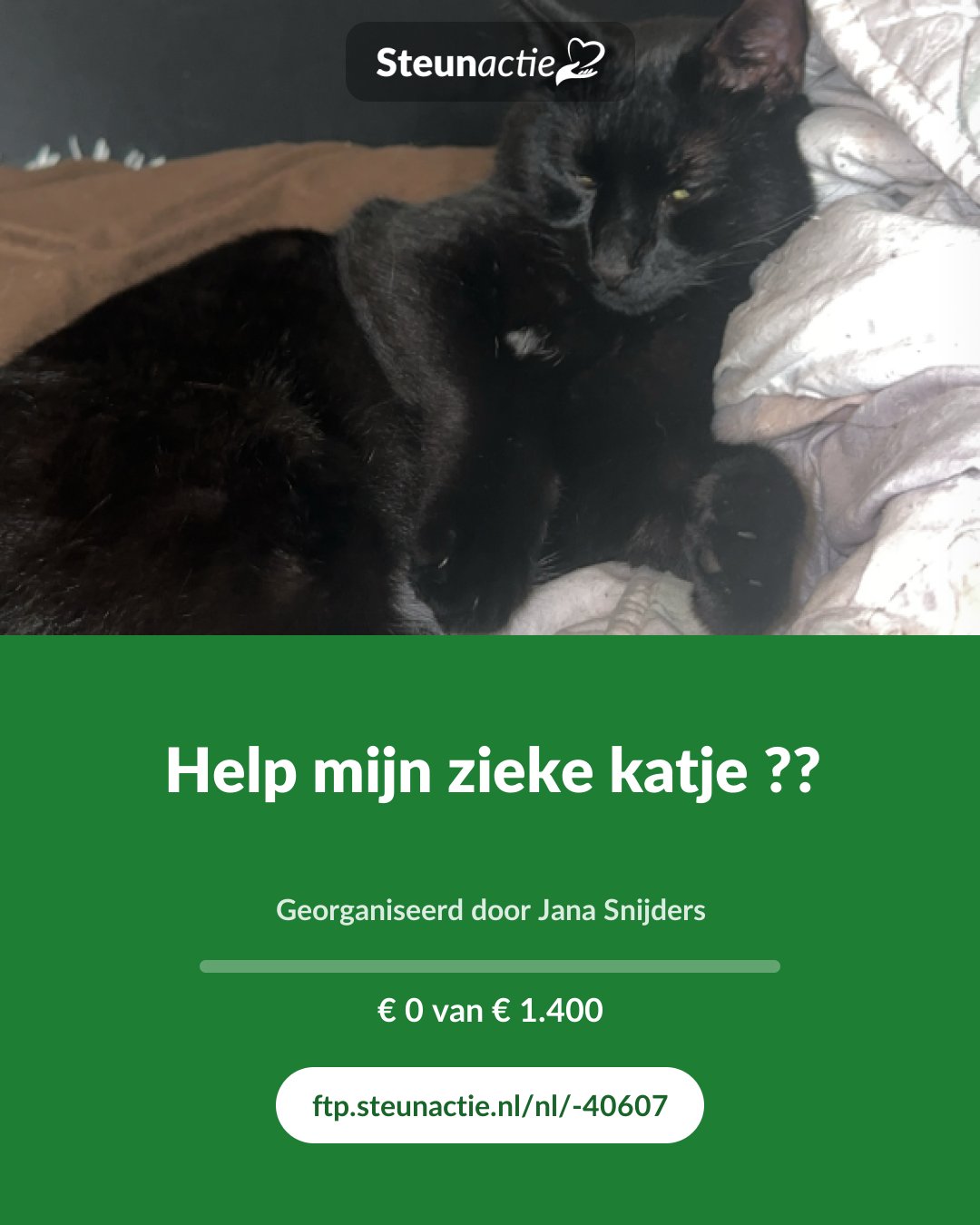 Voorbeeld van de afbeelding