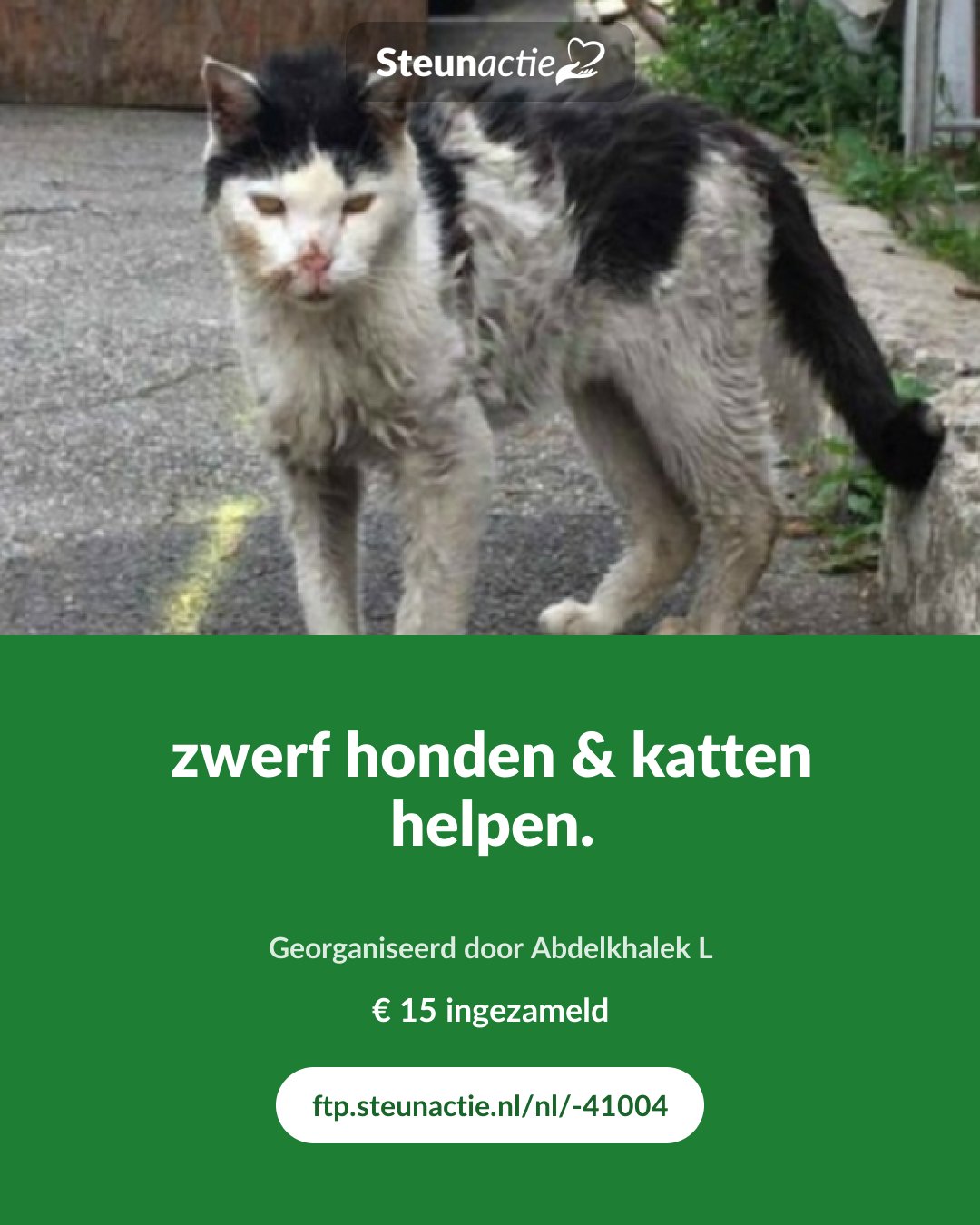 Voorbeeld van de afbeelding